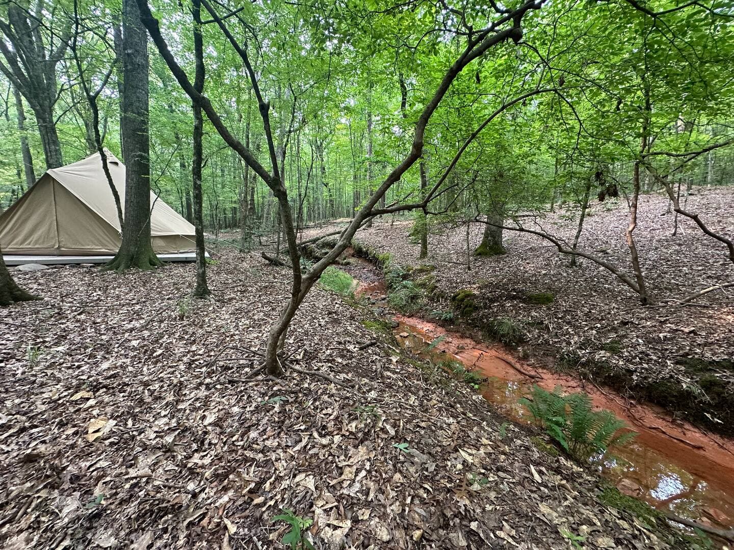 Gallery Image 11