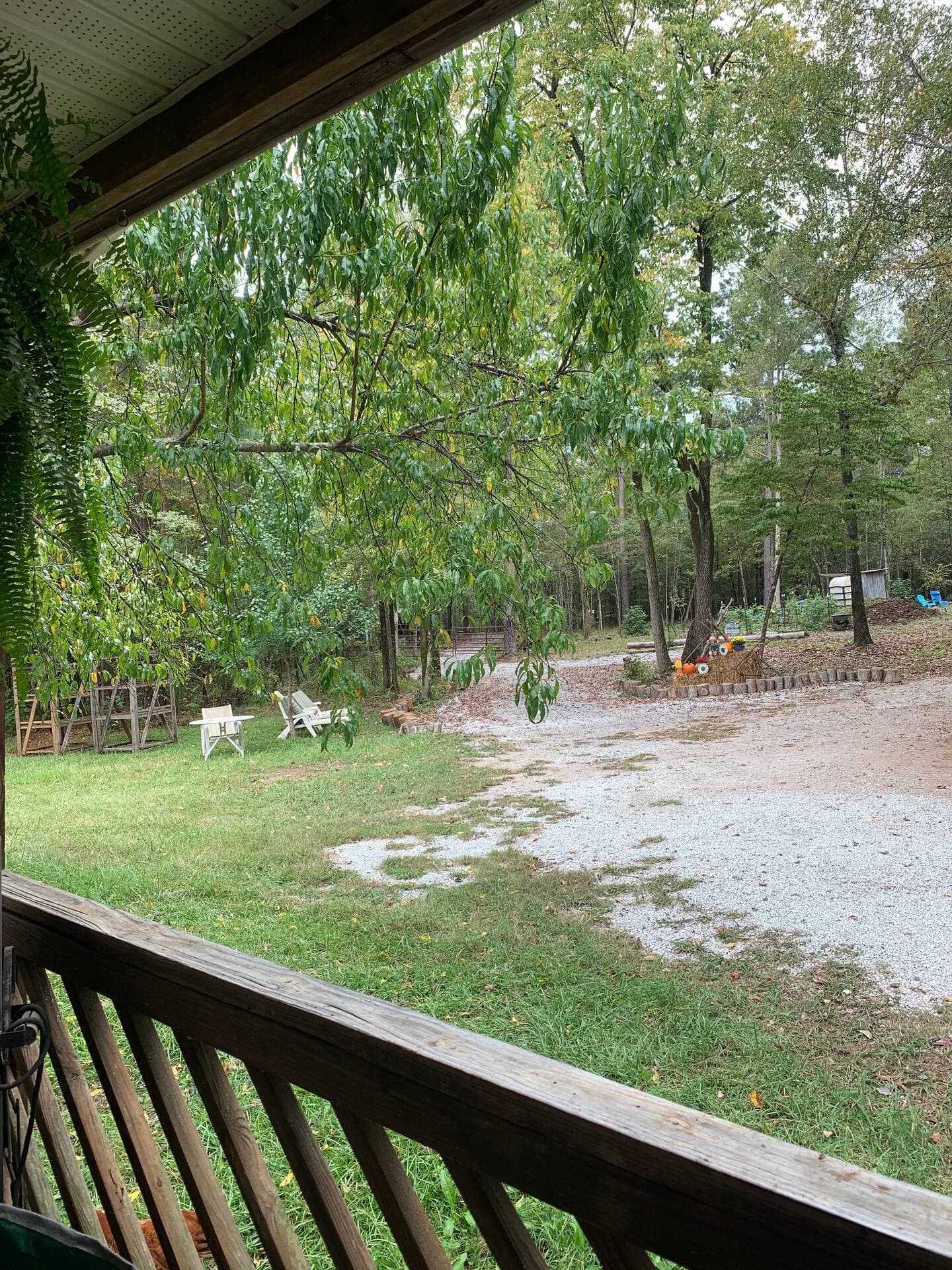 Gallery Image 17