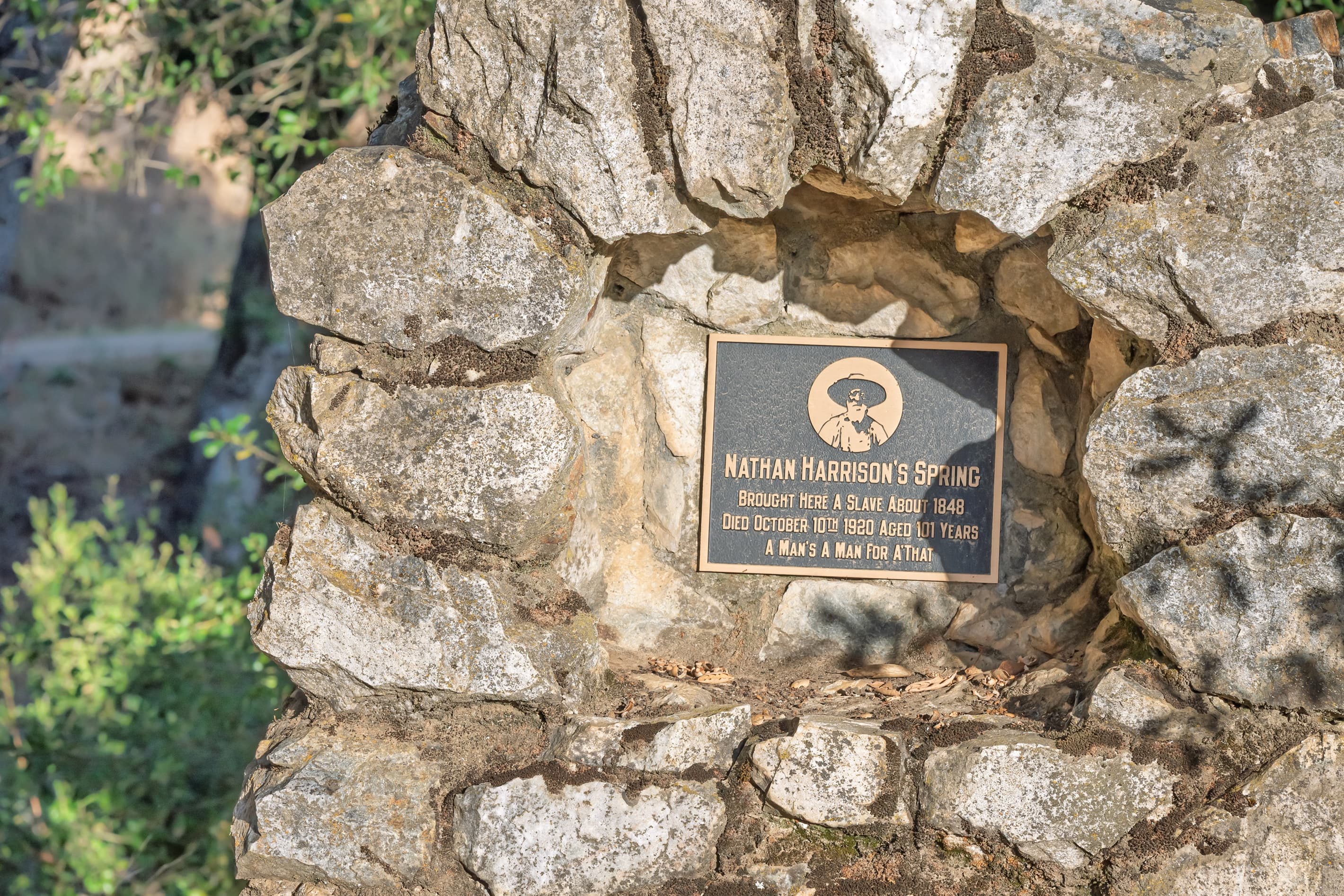 Nathan Harrison's Spring Plaque