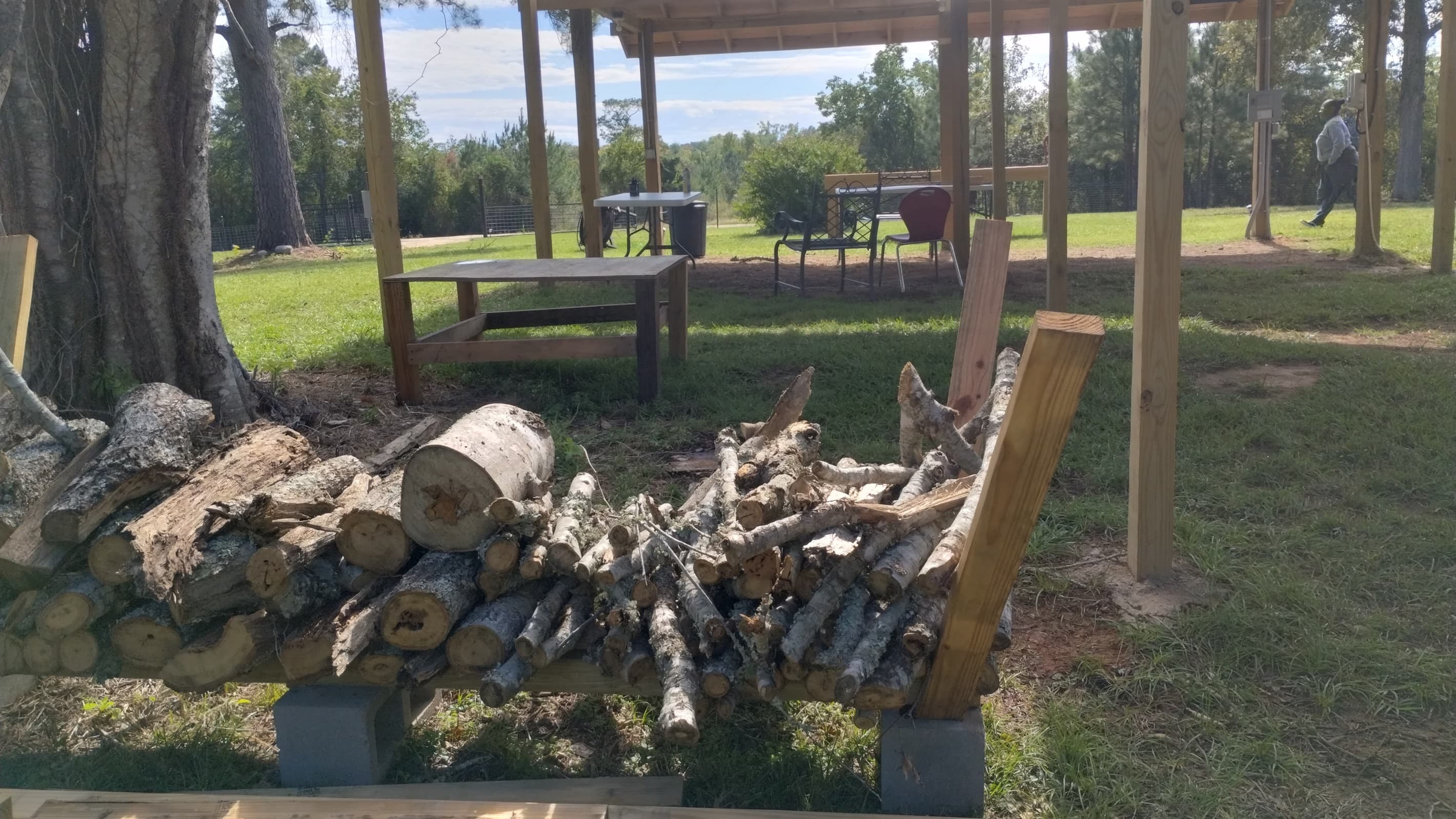 Firewood galore!