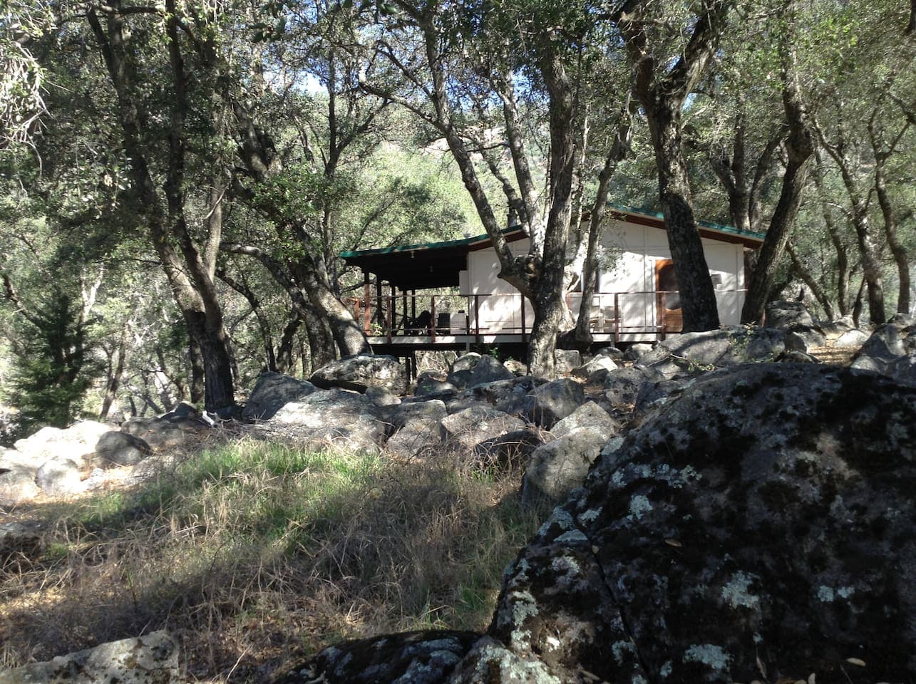 House in the Woods on the 67 Acre Ranch