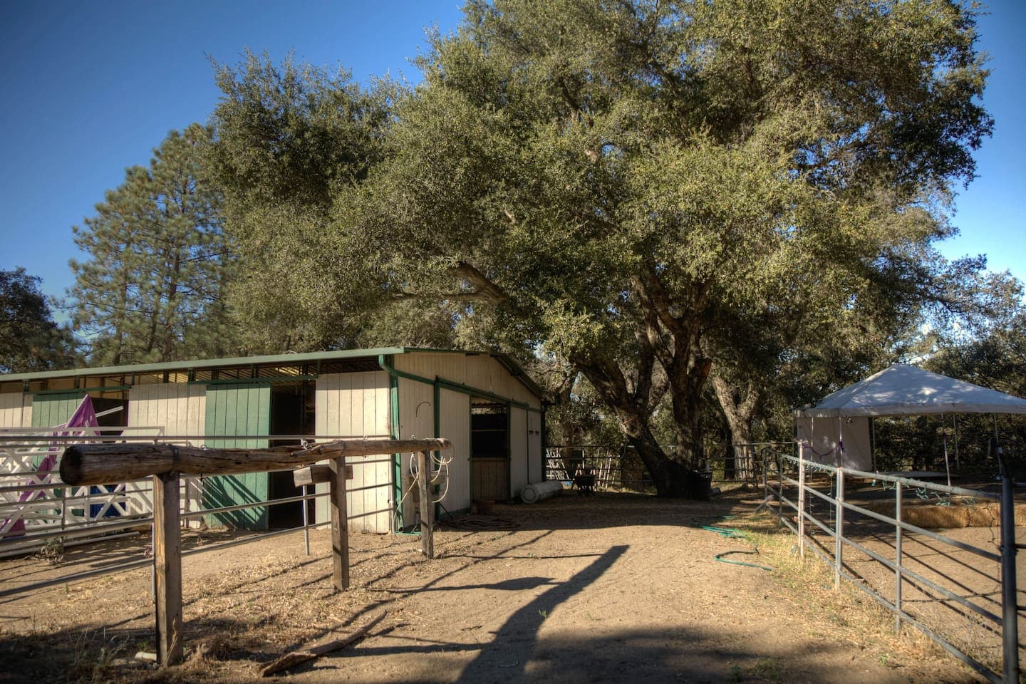 Stables