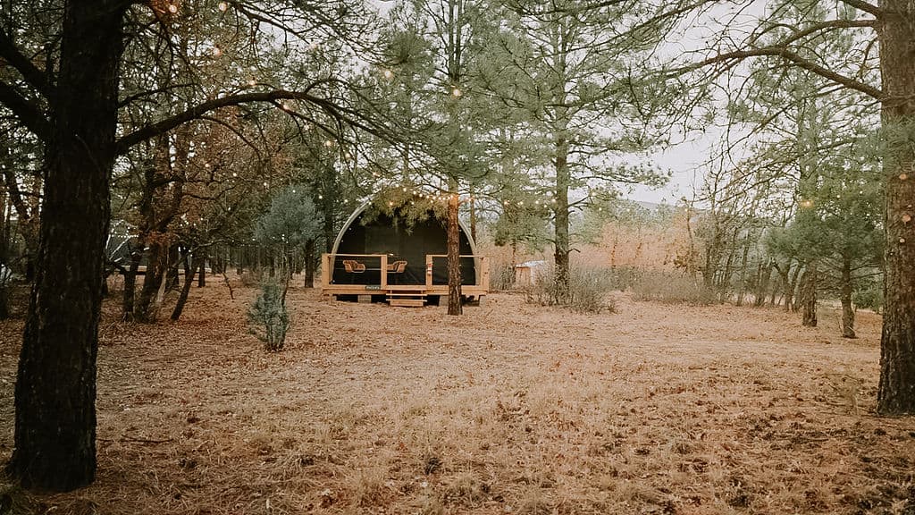 Gallery Image 17