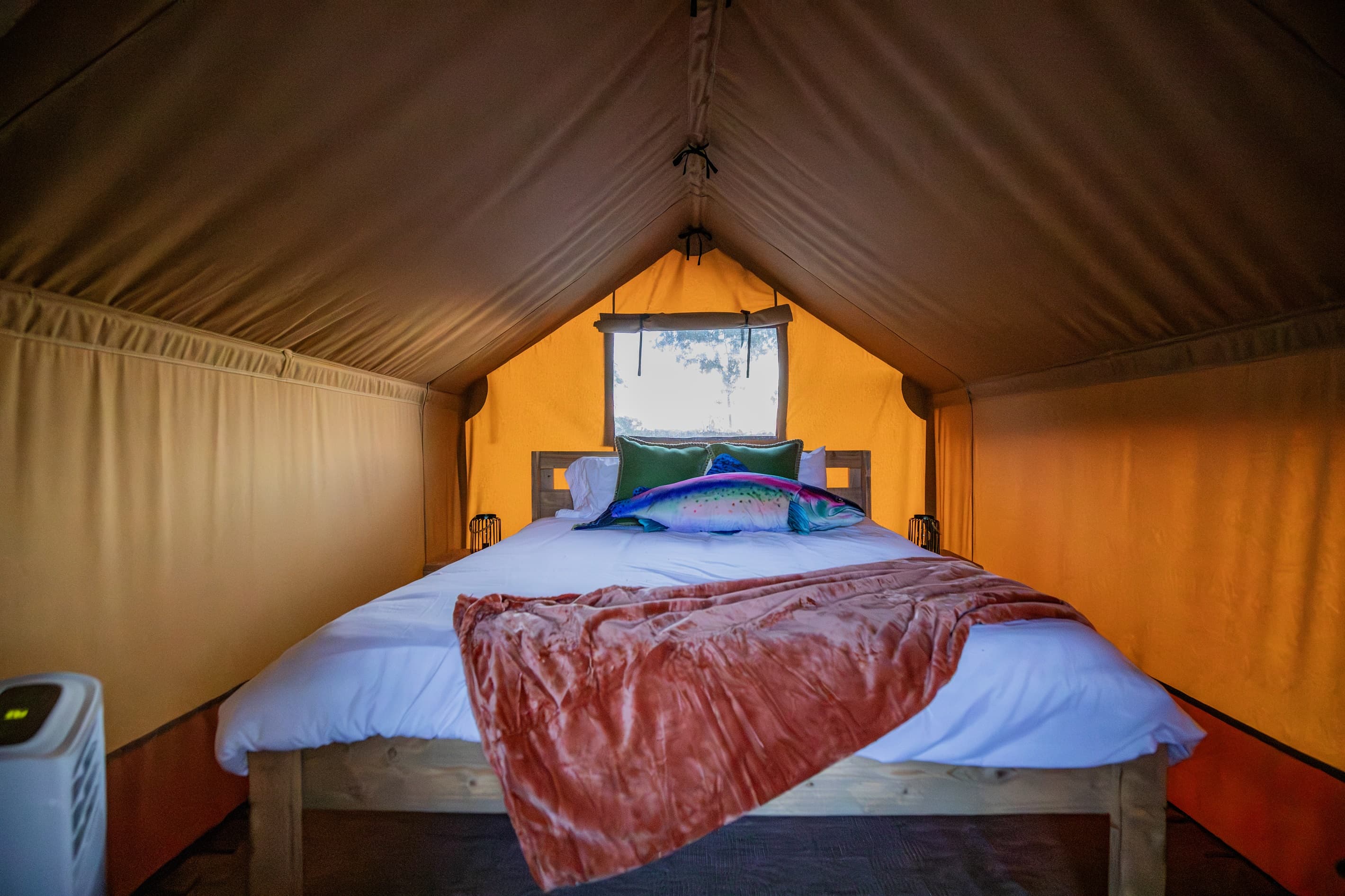 Comforts in the wild.