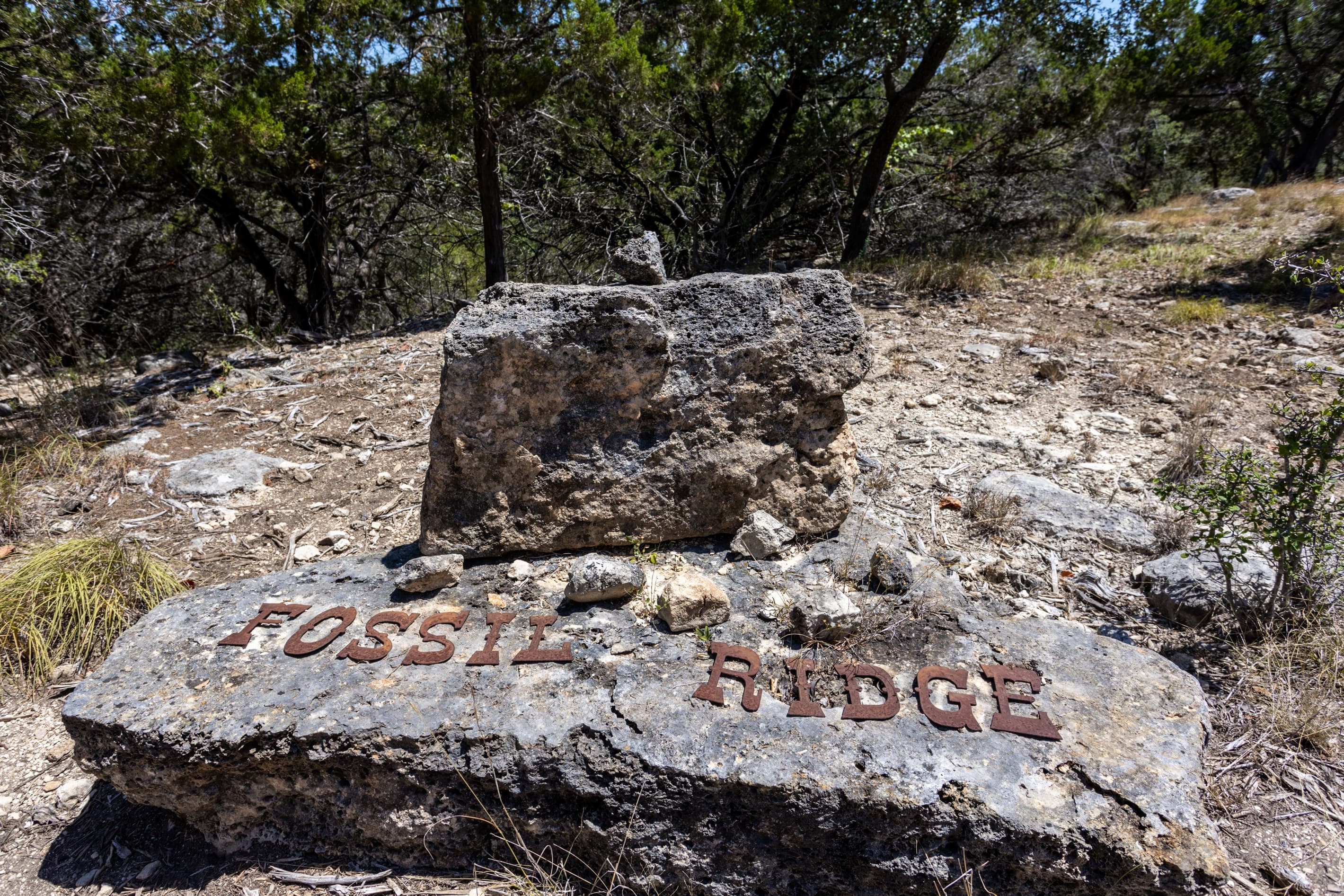 Fossil Ridge hiking trail - come explore the fossils but please remember to leave them where you found them!