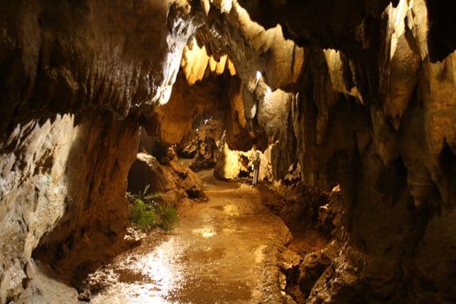 Cascade Caverns Surrounding Area