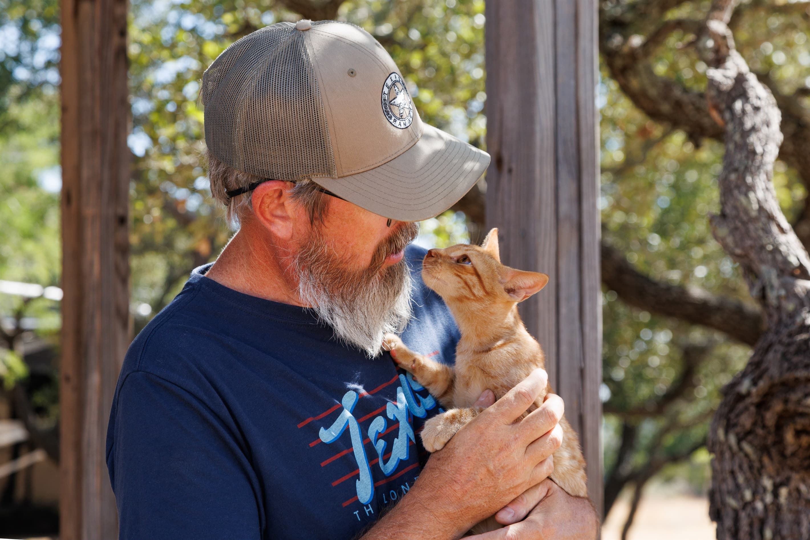 The tents are Pet-friendly