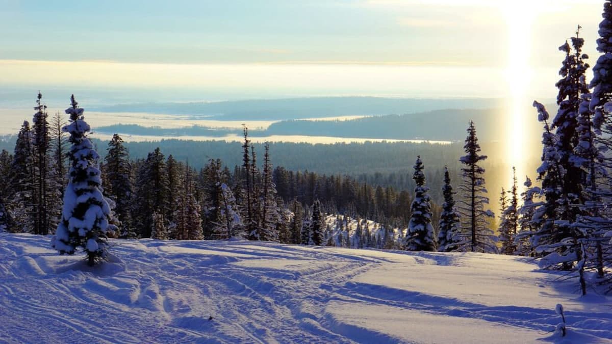 In the winter, Island Park offers breathtaking views of snow-covered landscapes.