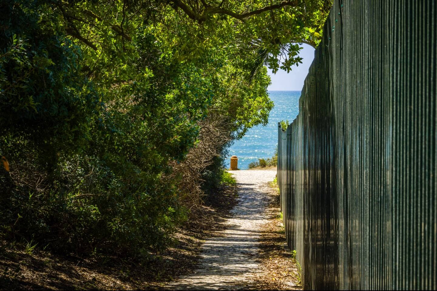Gallery Image 43