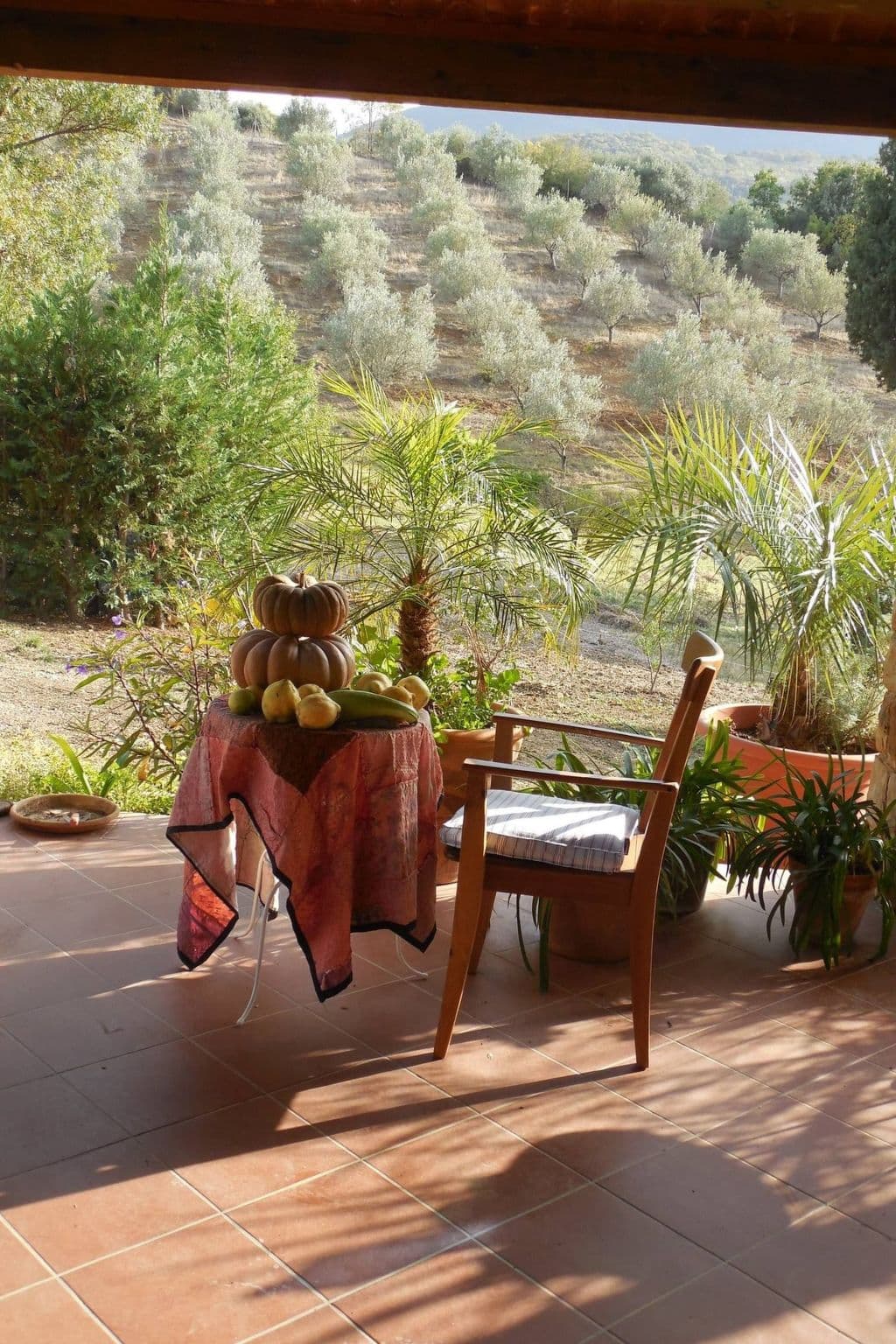 Terrace