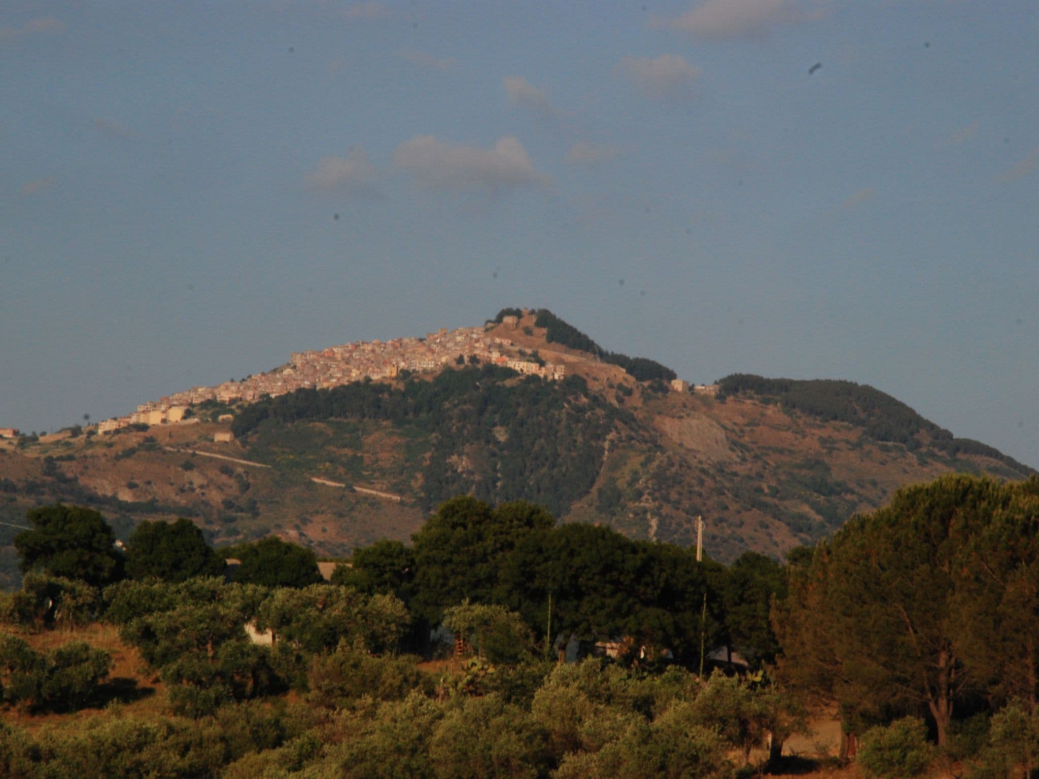 View