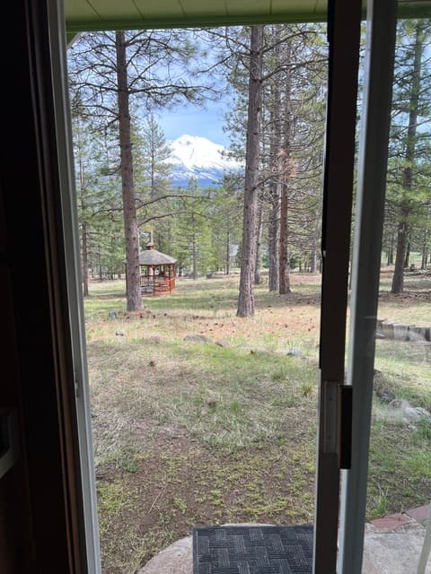 Gallery Image 17