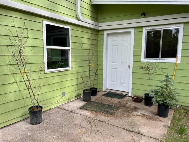 Gallery Image 43