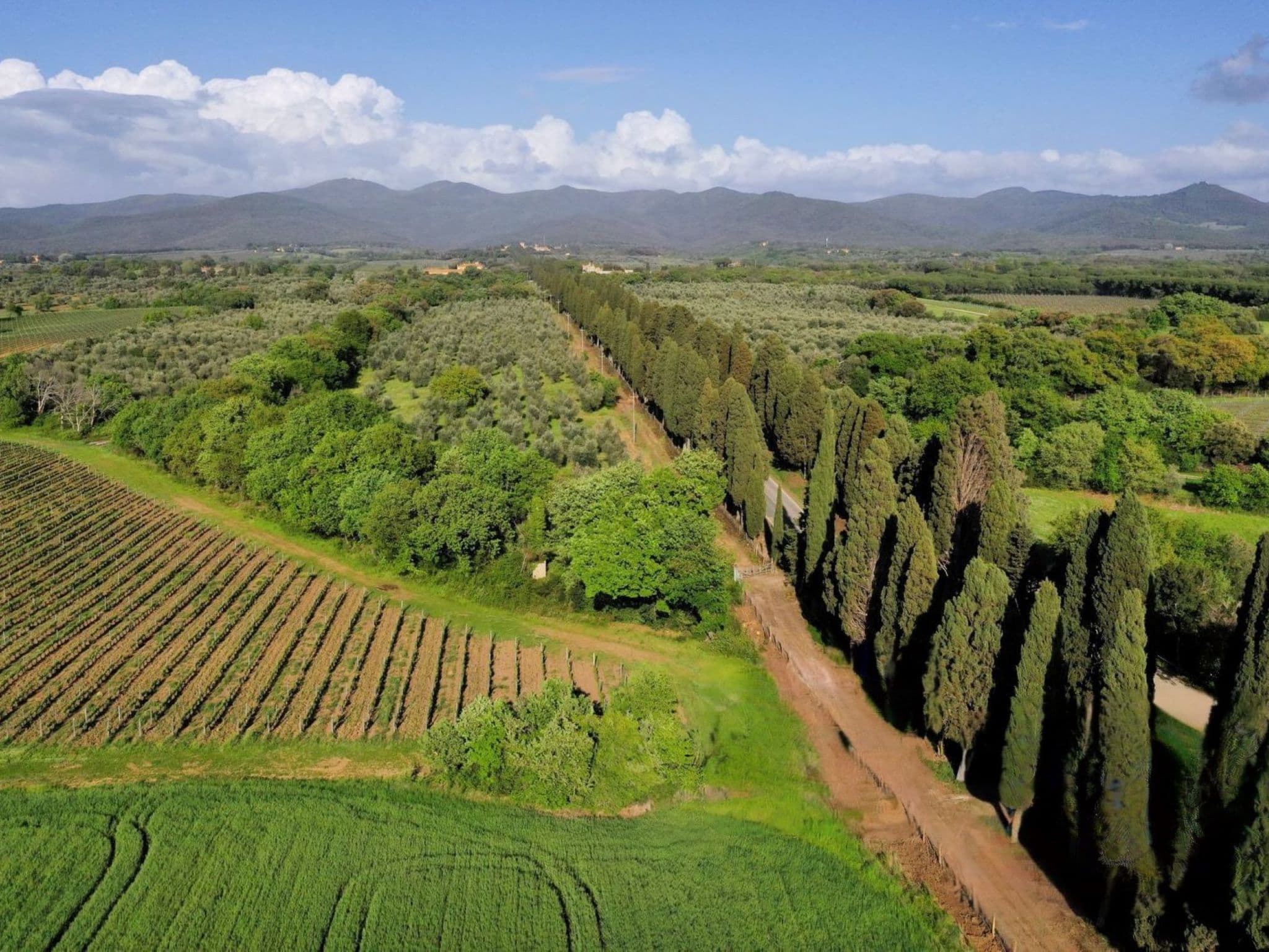 Aerial photography