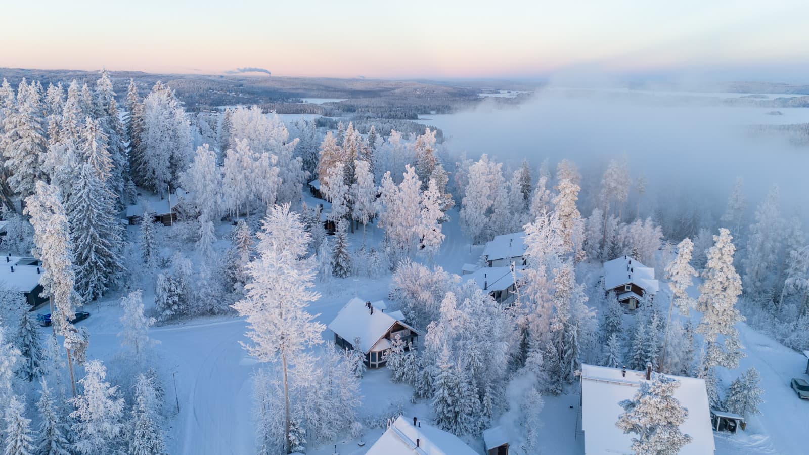 DJI_20260109145021_0769_D.jpg