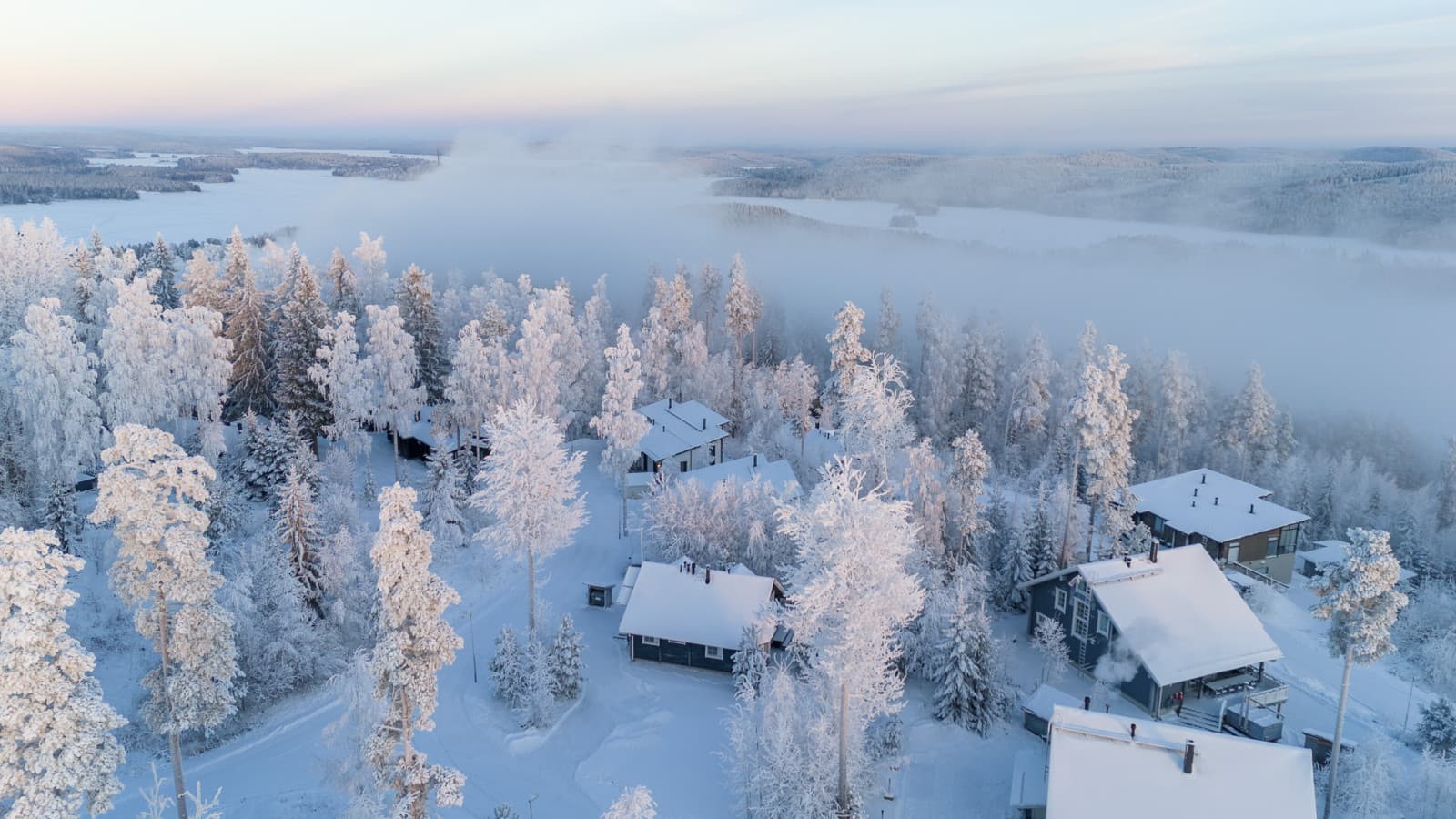 DJI_20260109145010_0768_D.jpg