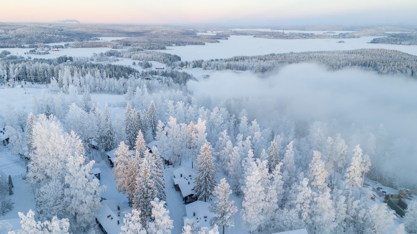 DJI_20260109145441_0776_D.jpg