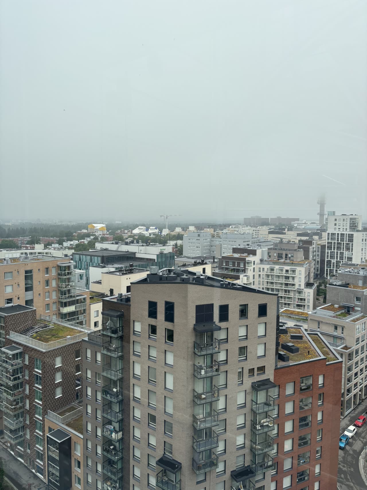 IMG_8222.jpeg