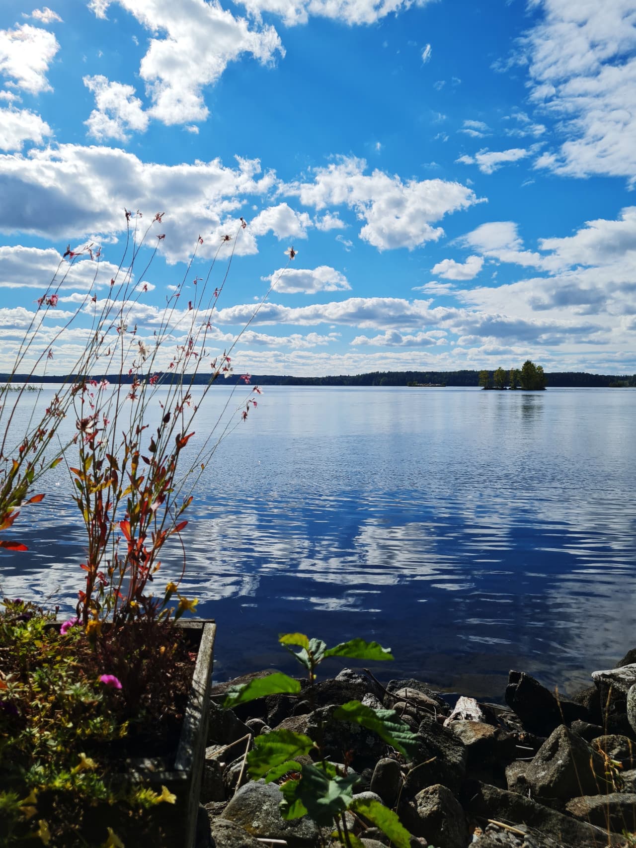 20220911_134551.jpg