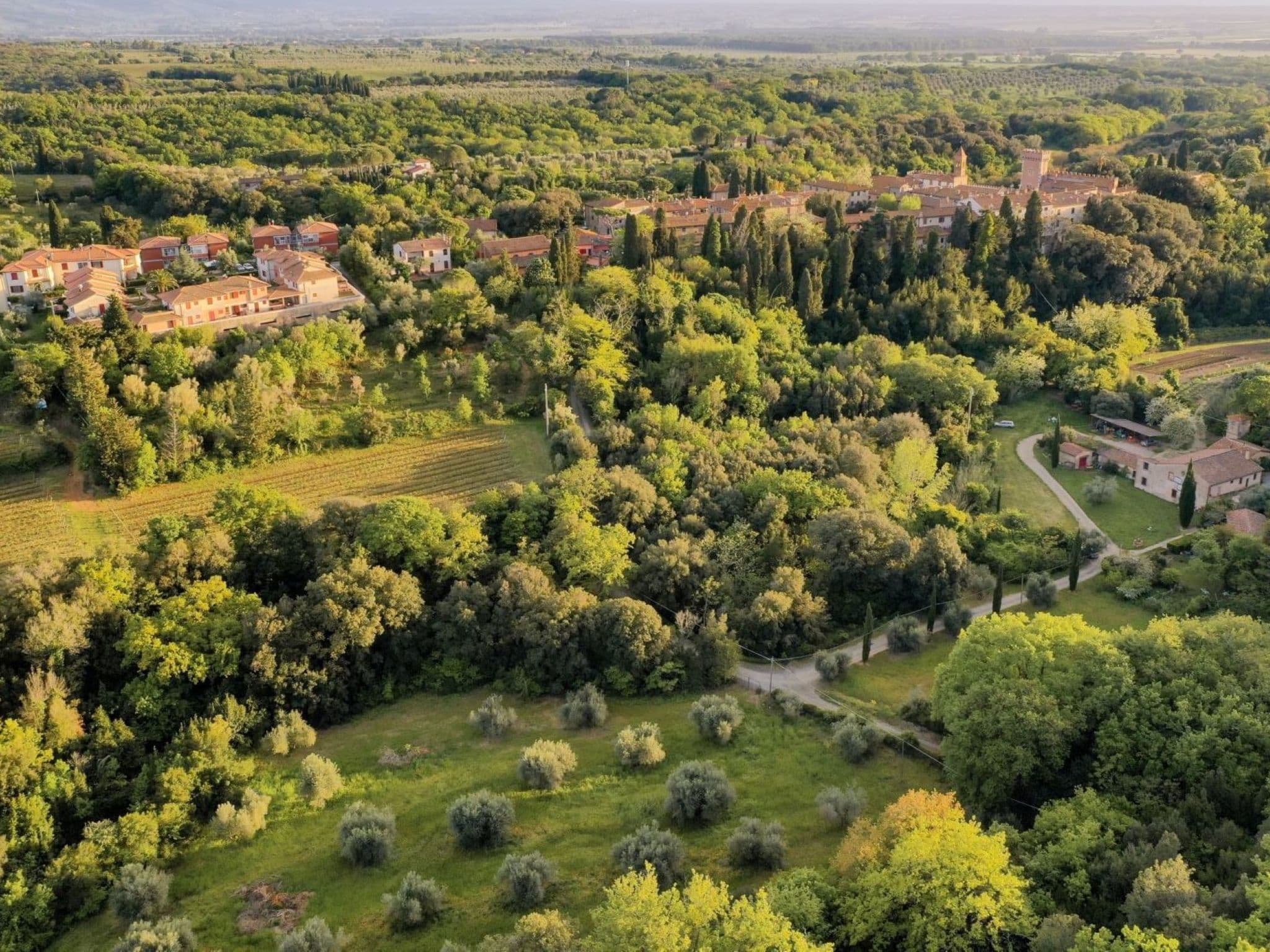 Aerial photography