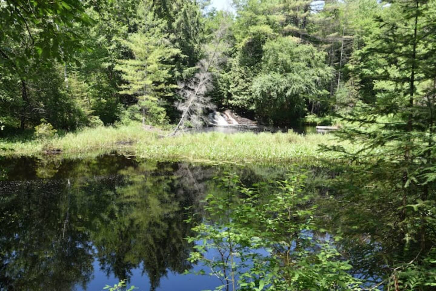 Gallery Image 39