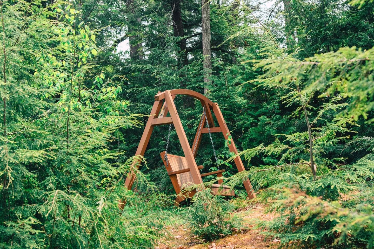 Gallery Image 8