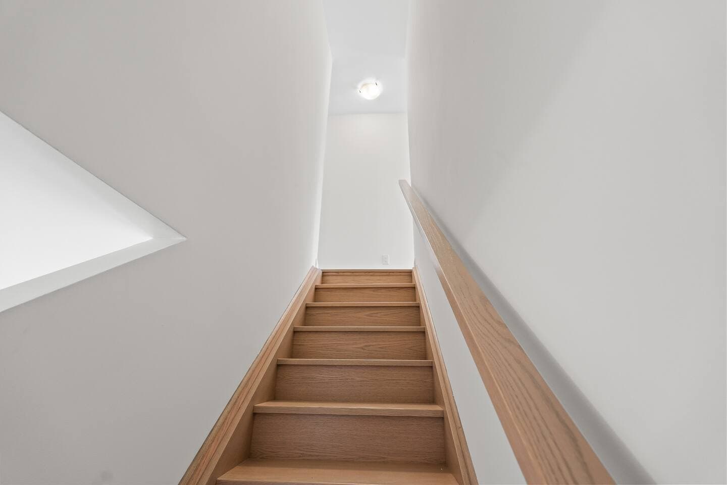 Gallery Image 35