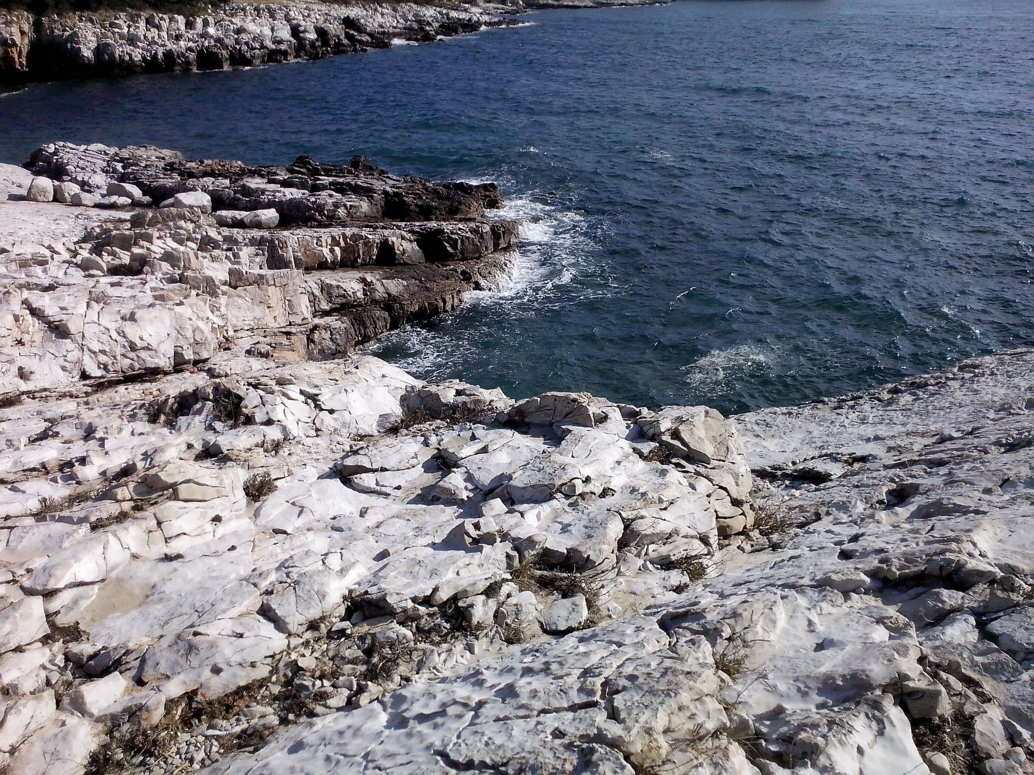 Gallery Image 25