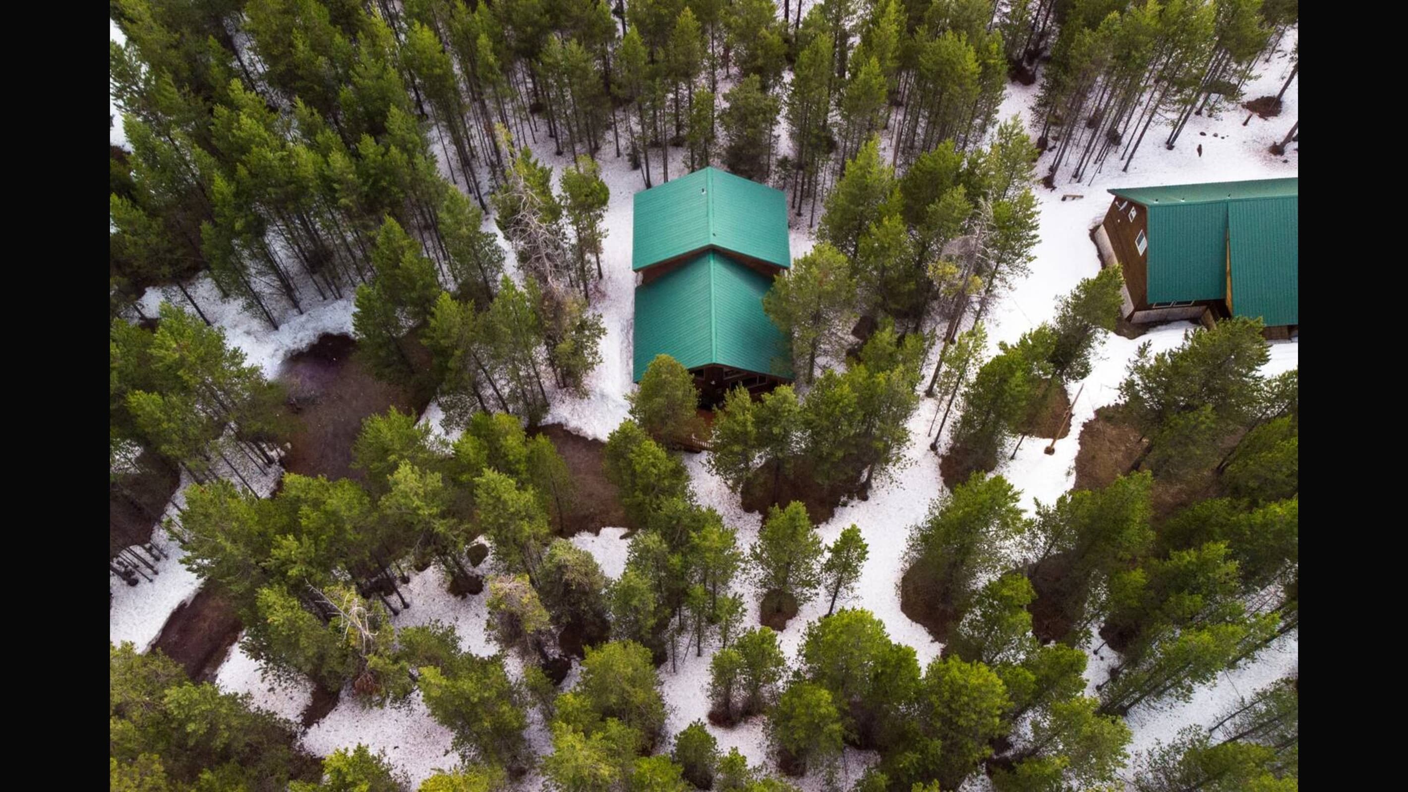 Trees provide added privacy and beauty.
