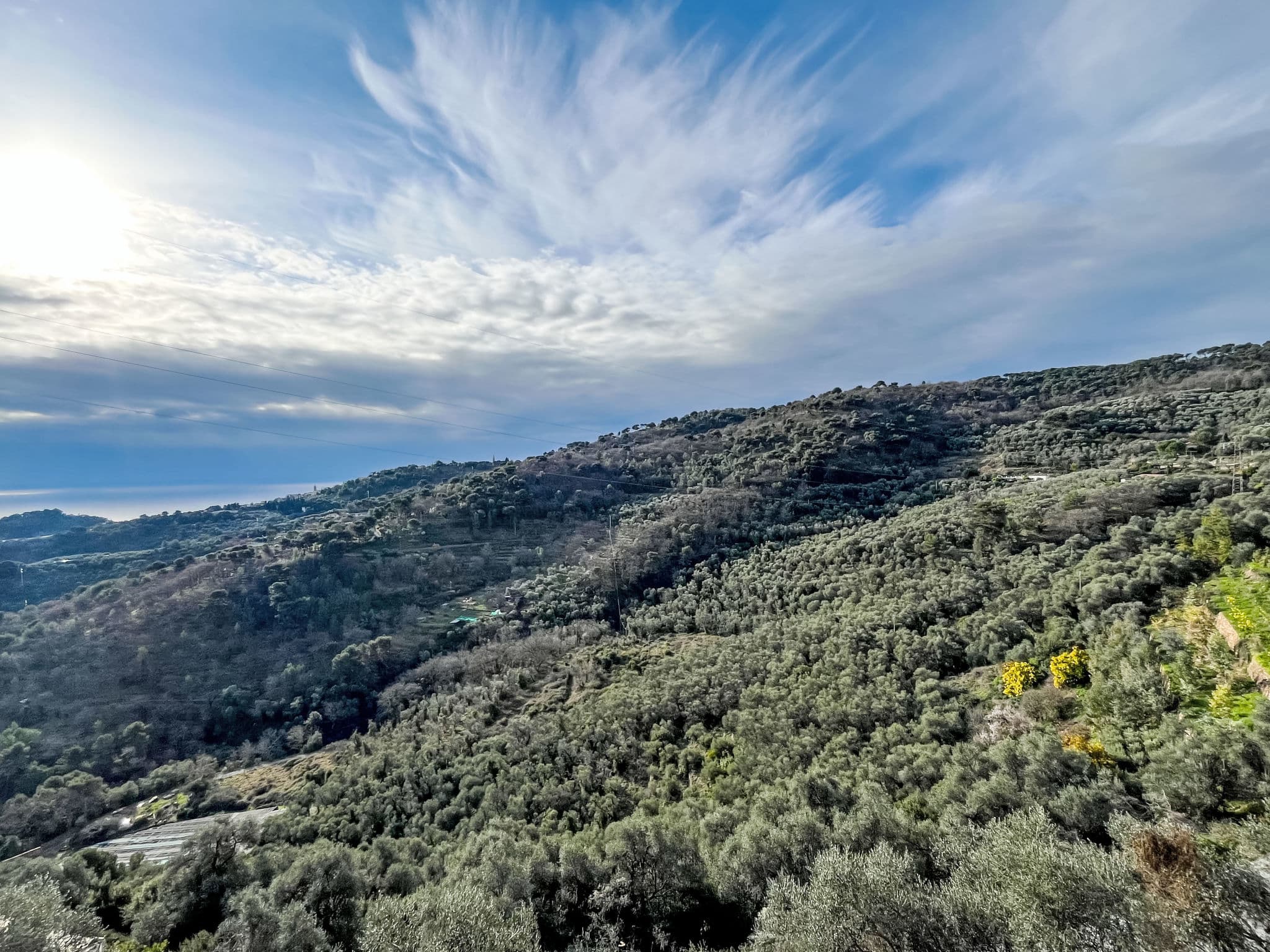 View