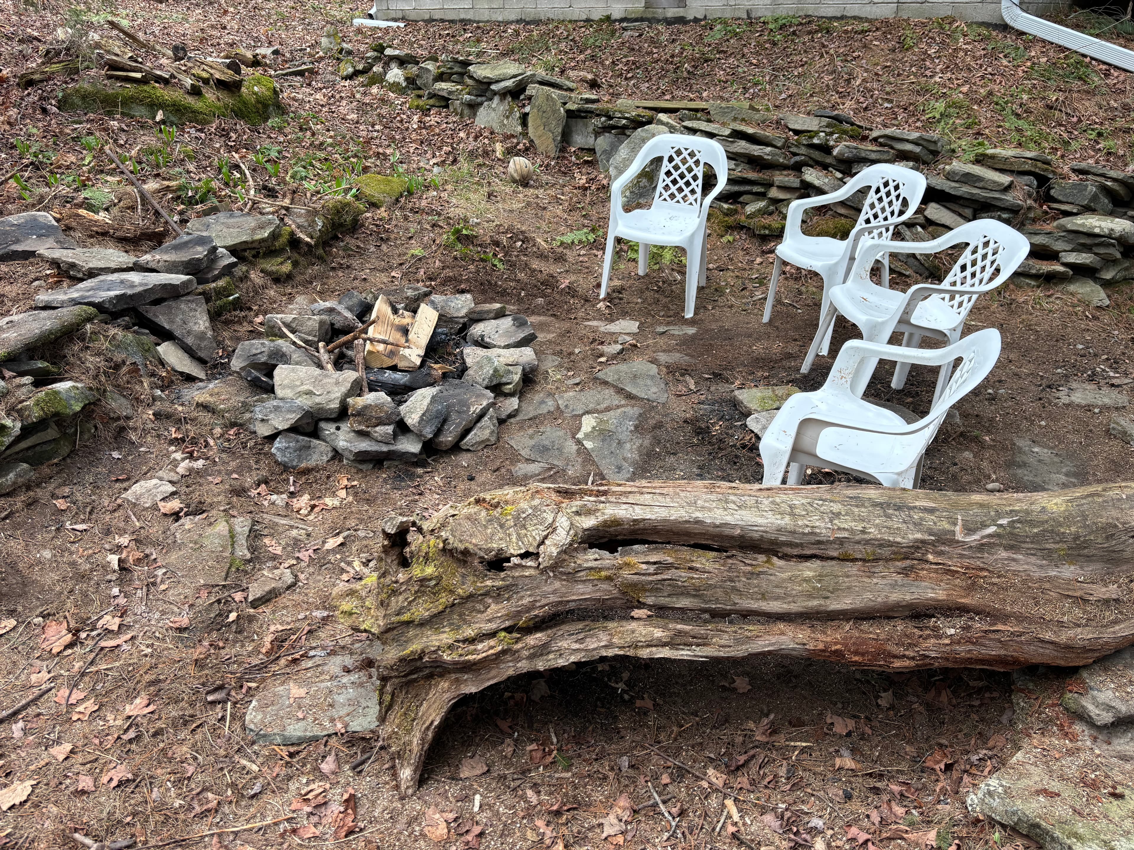 Gallery Image 19