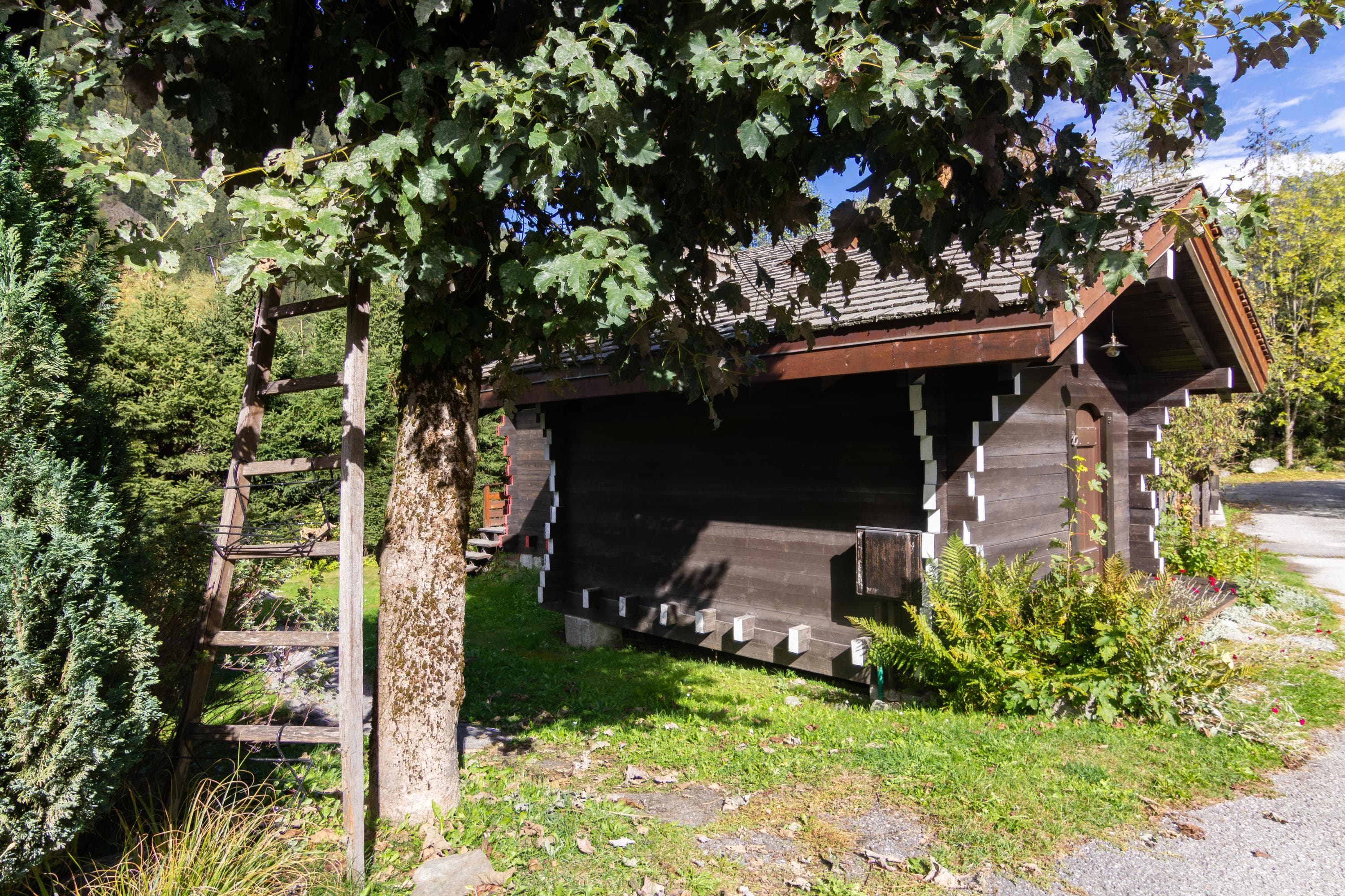 Gallery Image 9