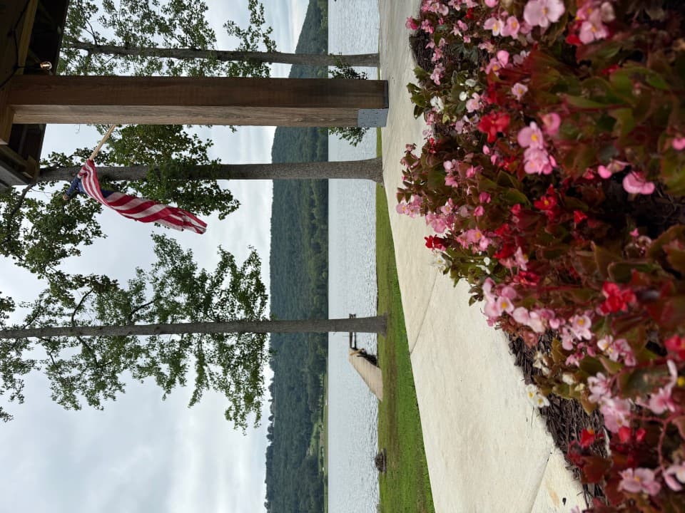 Gallery Image 19