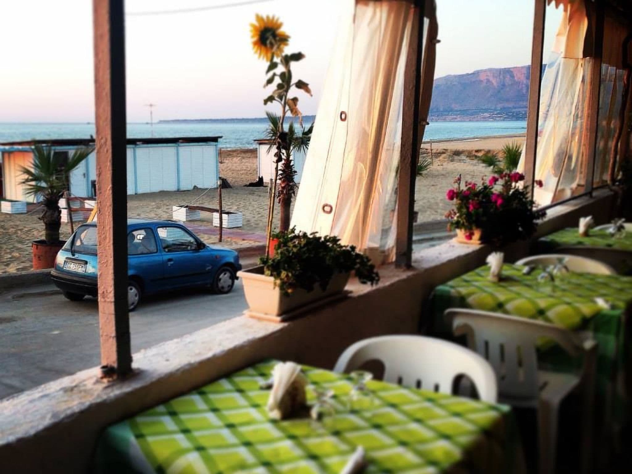 Terrace