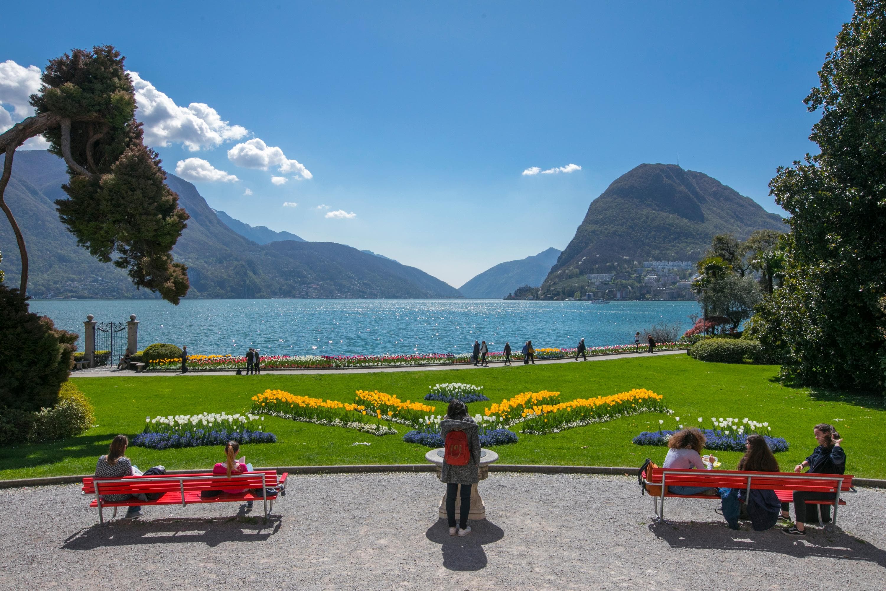 Gallery Image 18