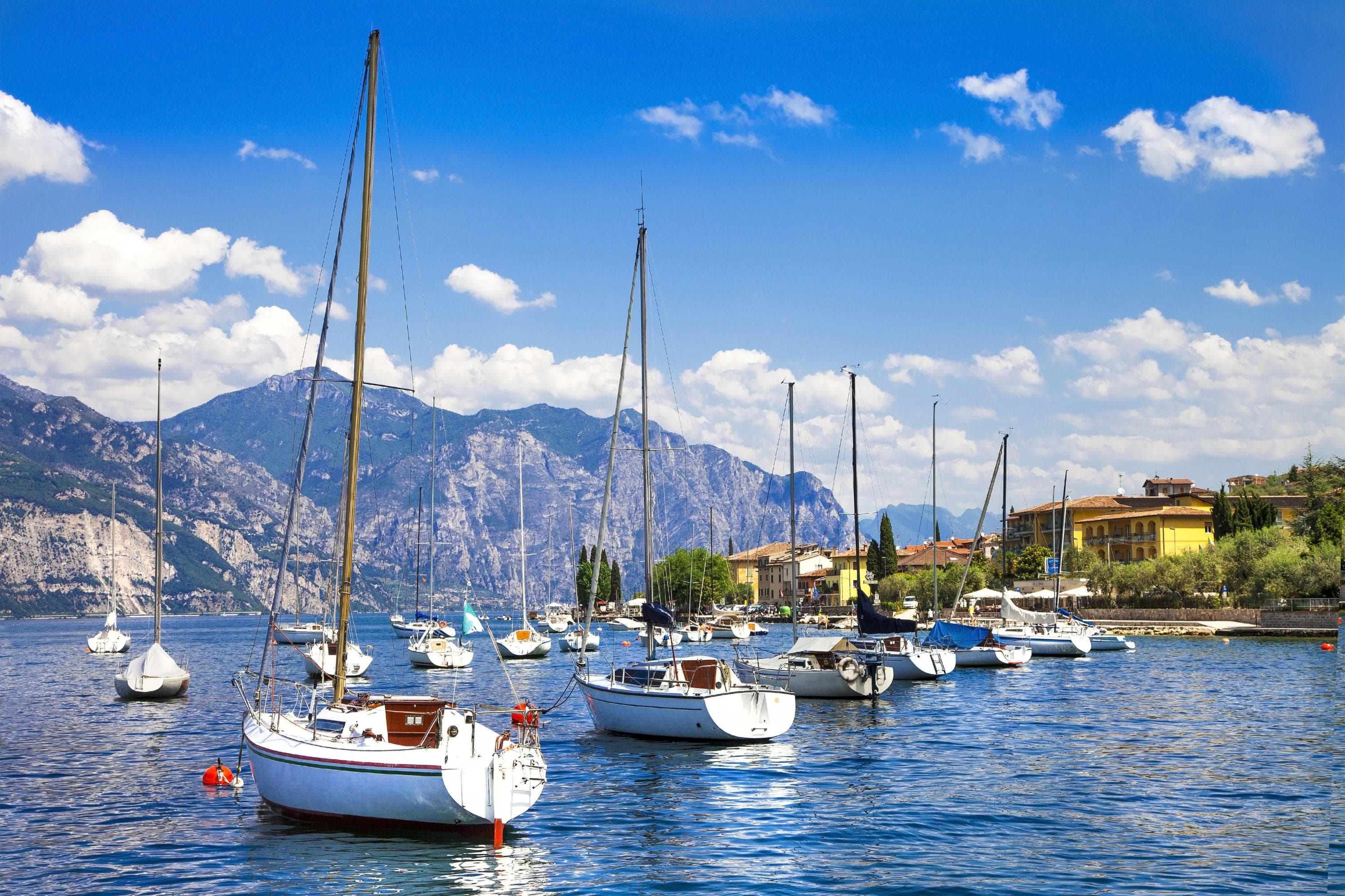 Gallery Image 25
