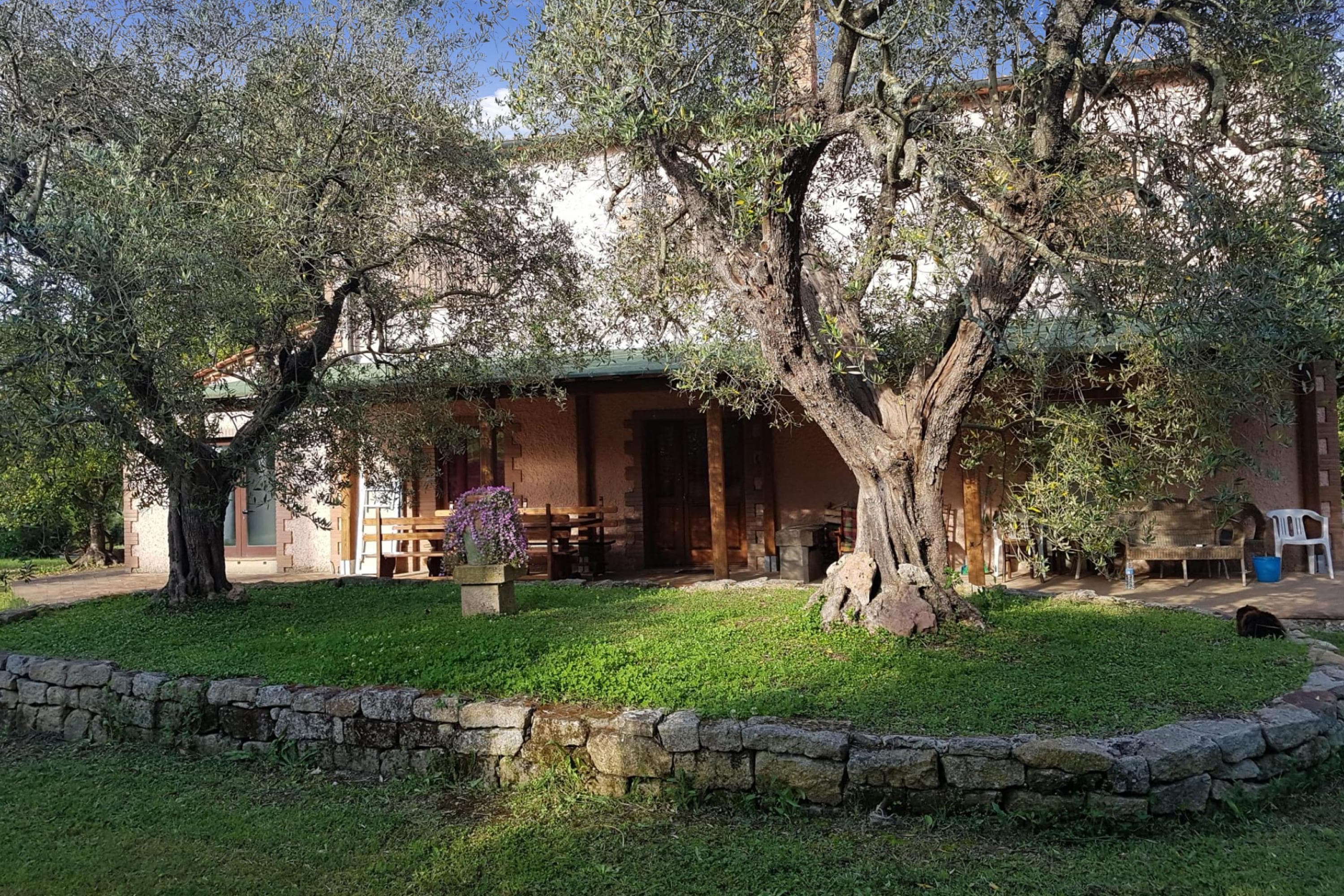 Gallery Image 36