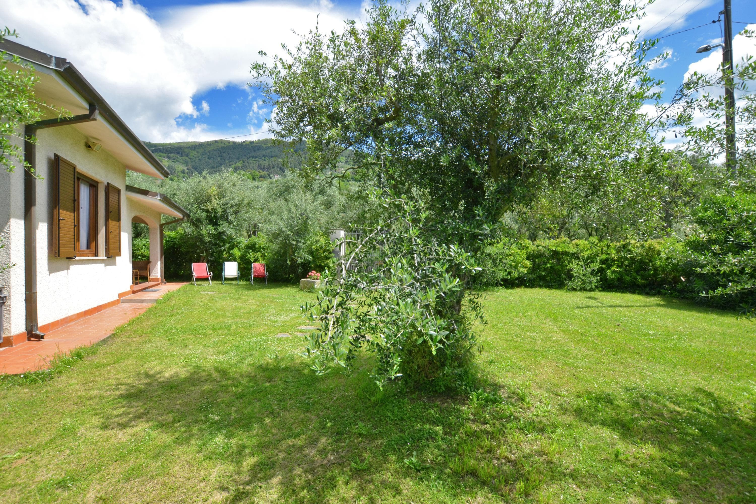 Gallery Image 20