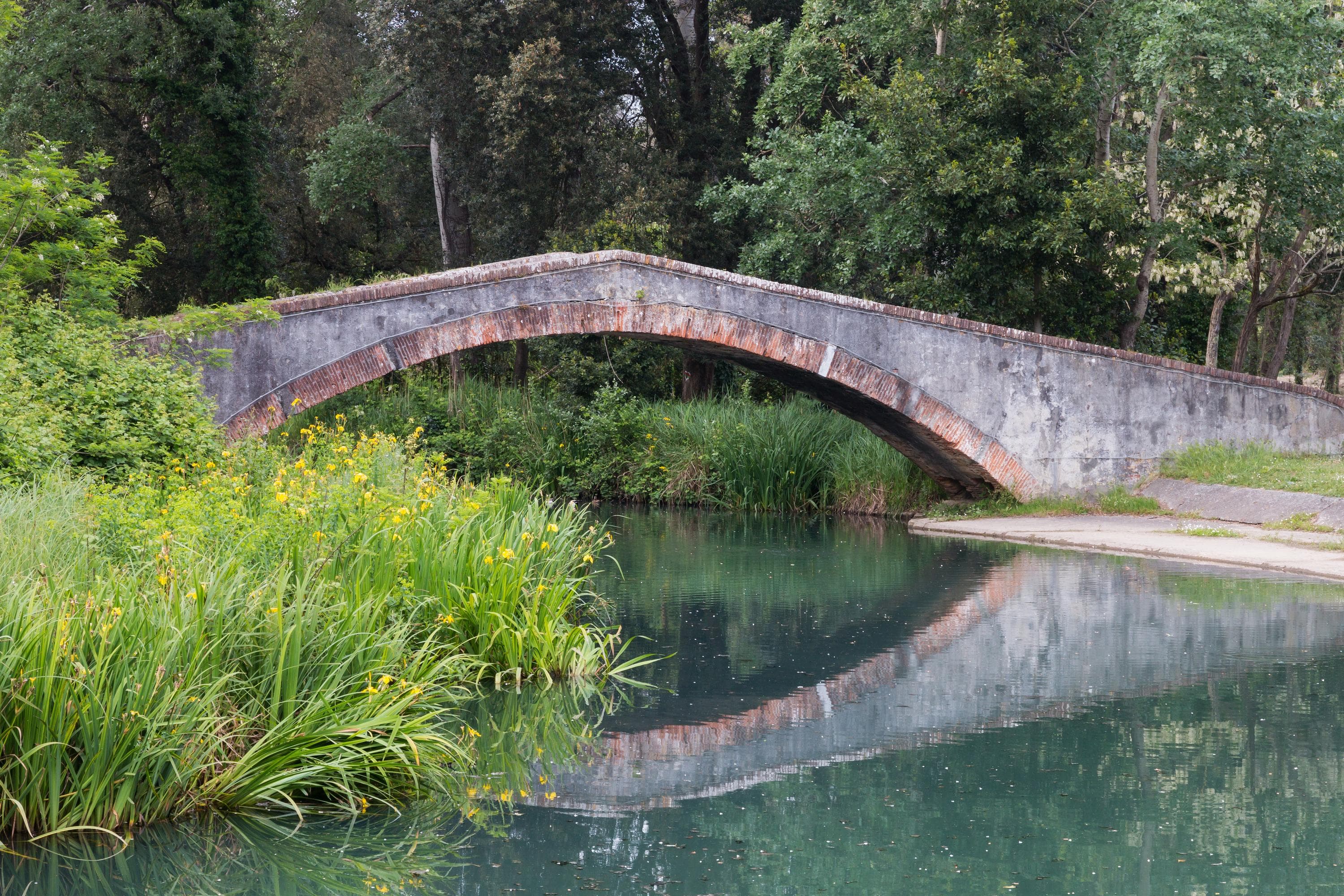 Gallery Image 26