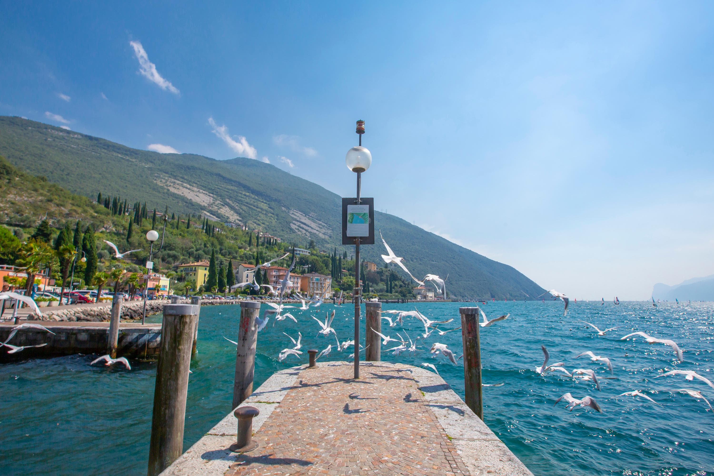 Gallery Image 23