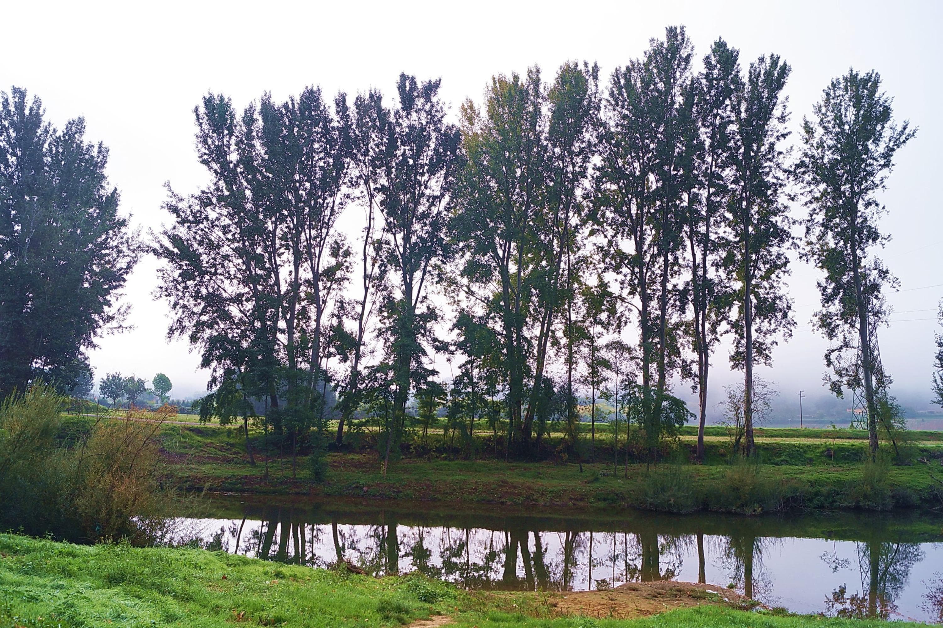 Gallery Image 41
