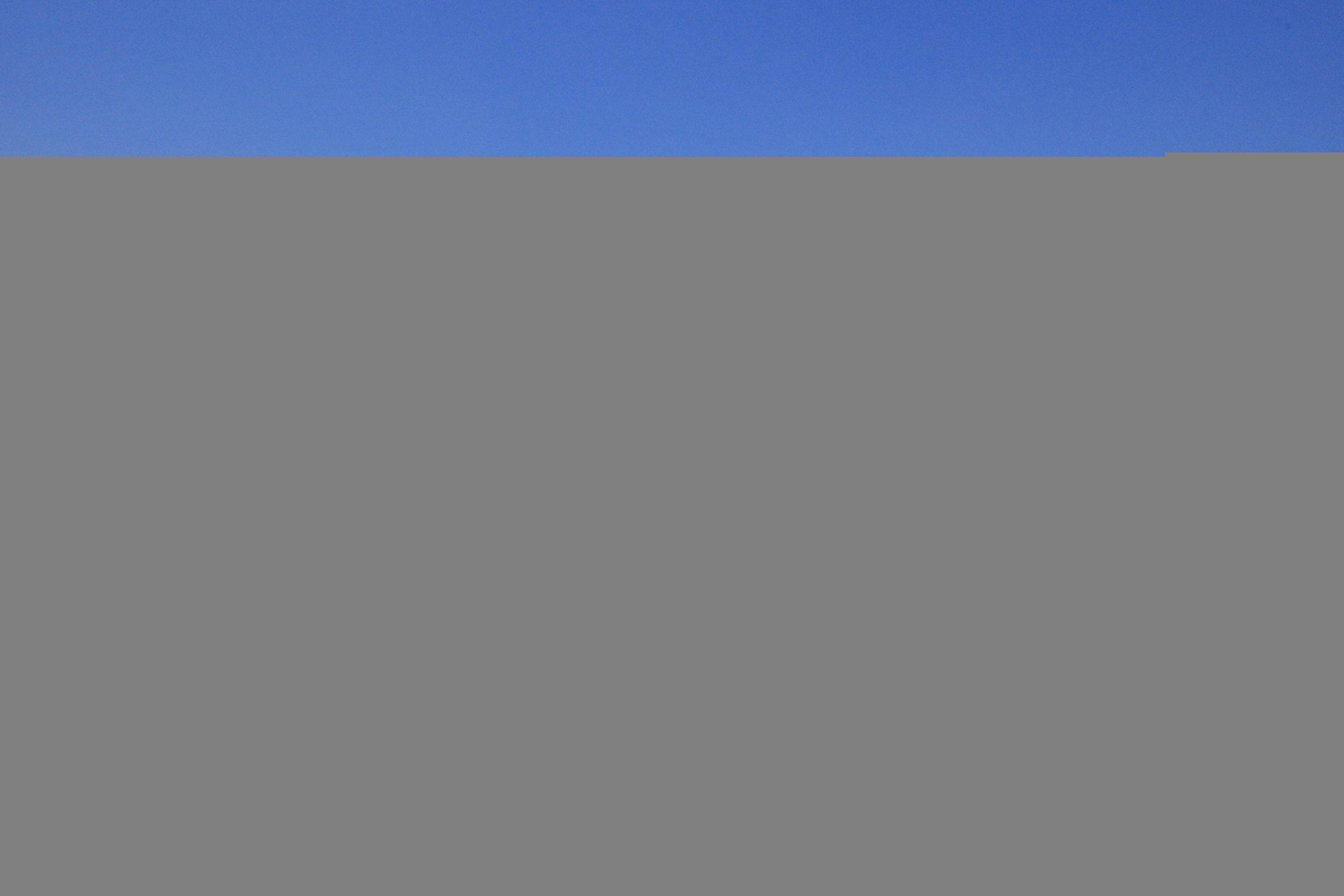 Gallery Image 28