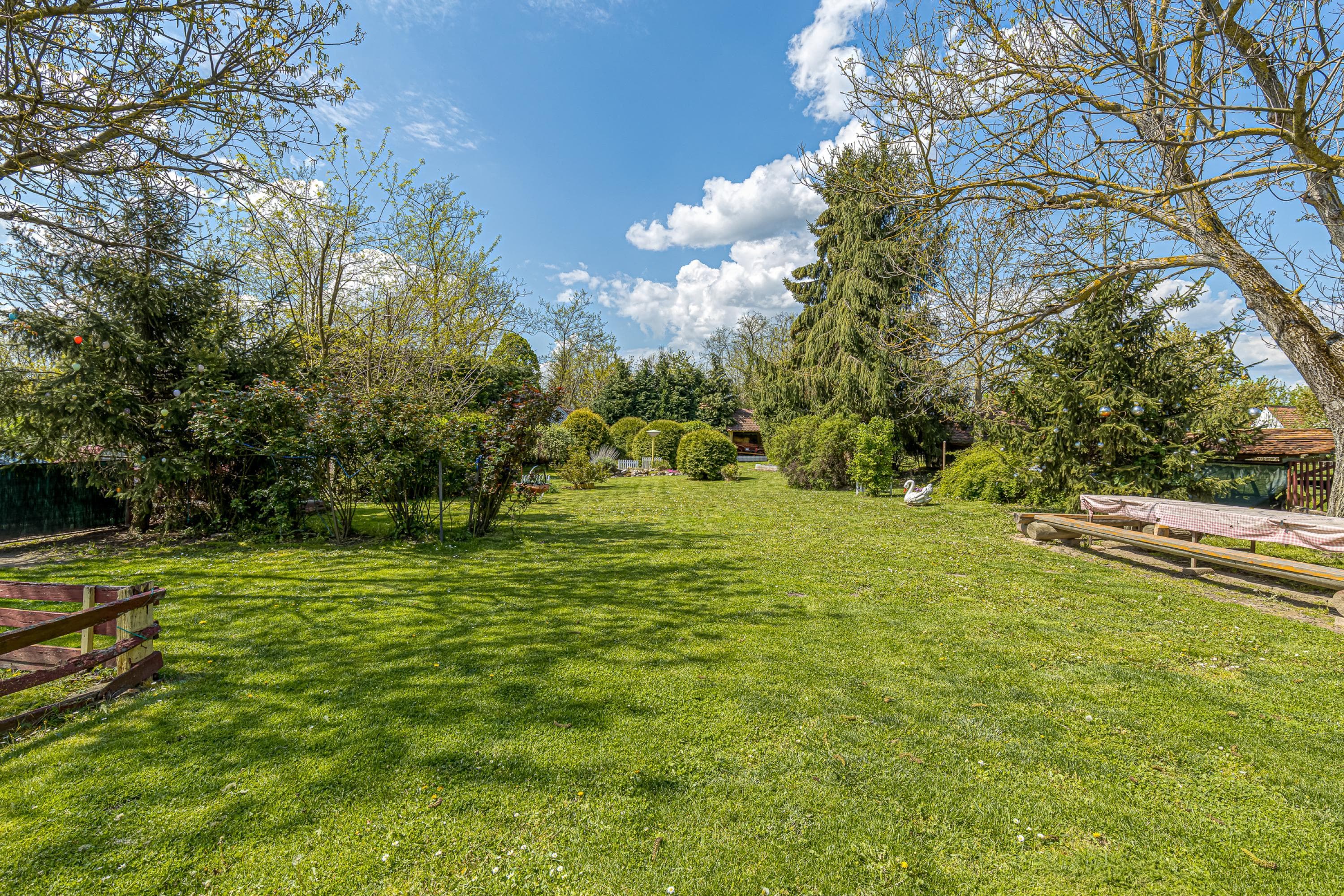Gallery Image 39