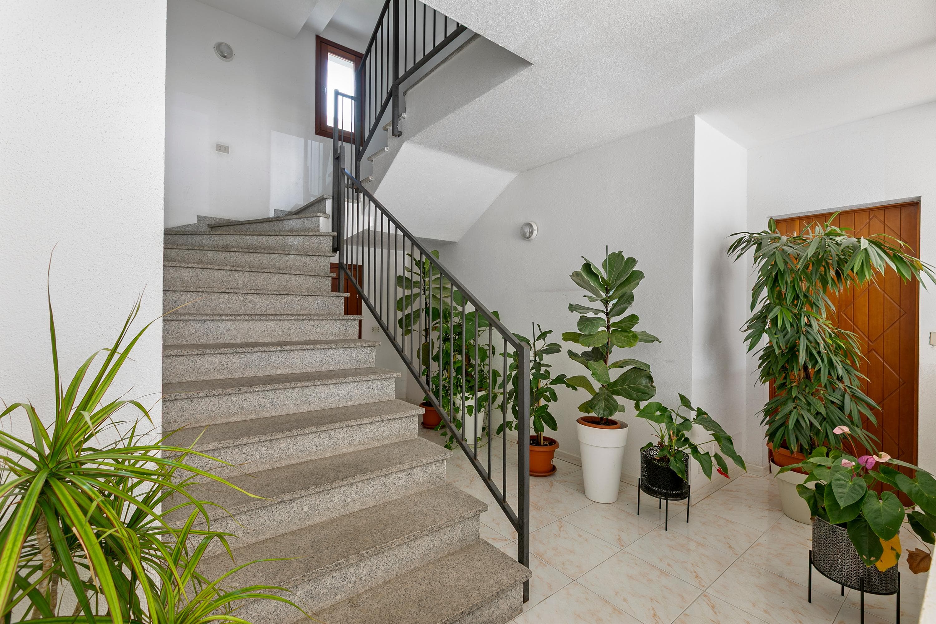 Gallery Image 15
