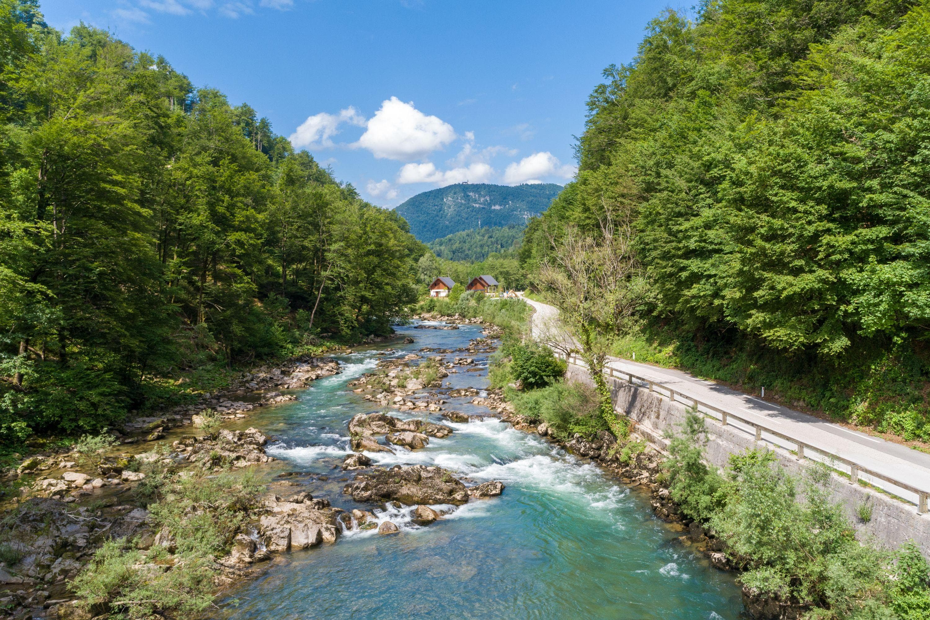 Gallery Image 26