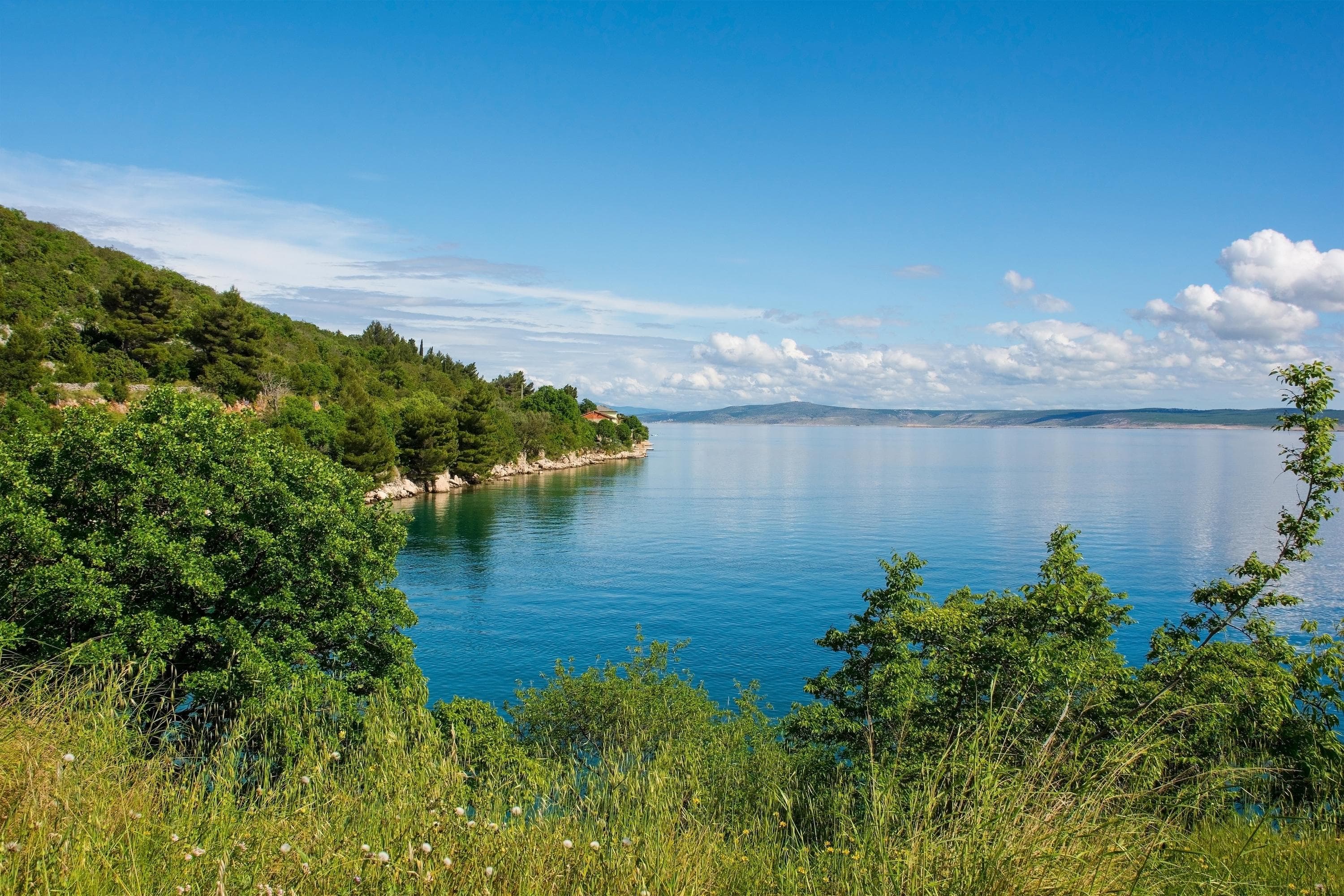 Gallery Image 36