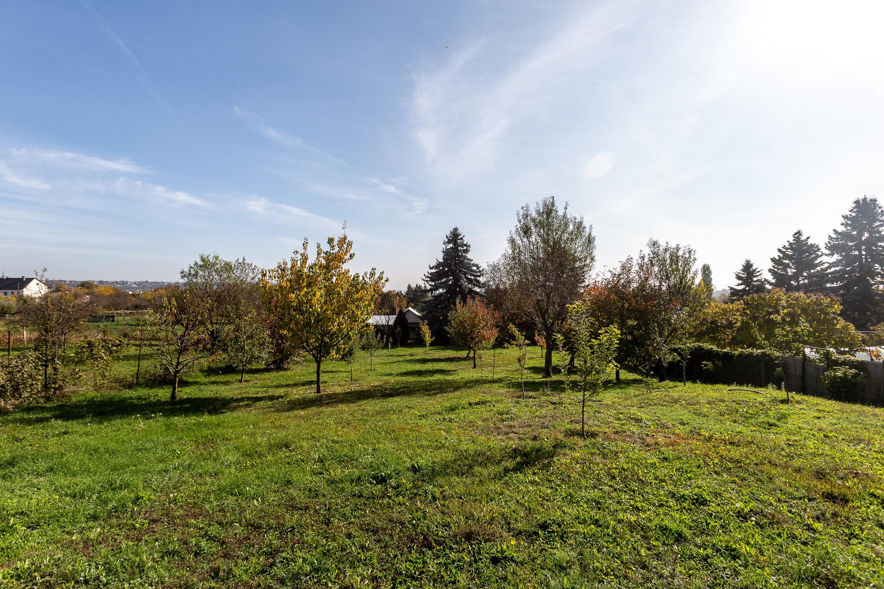 Gallery Image 31
