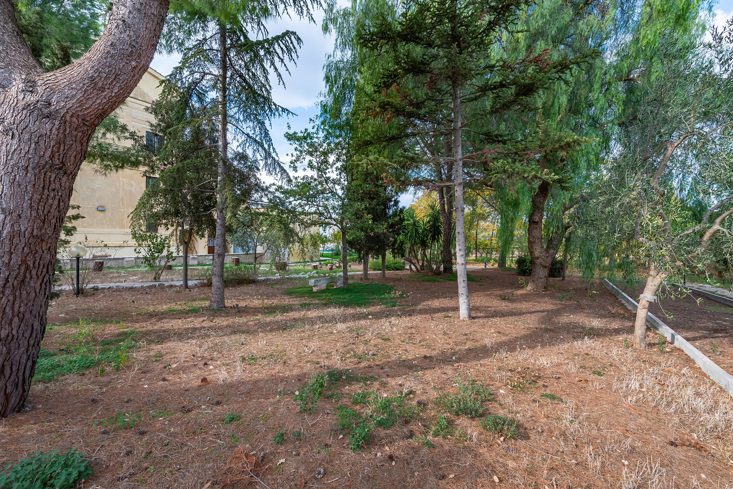 Gallery Image 25