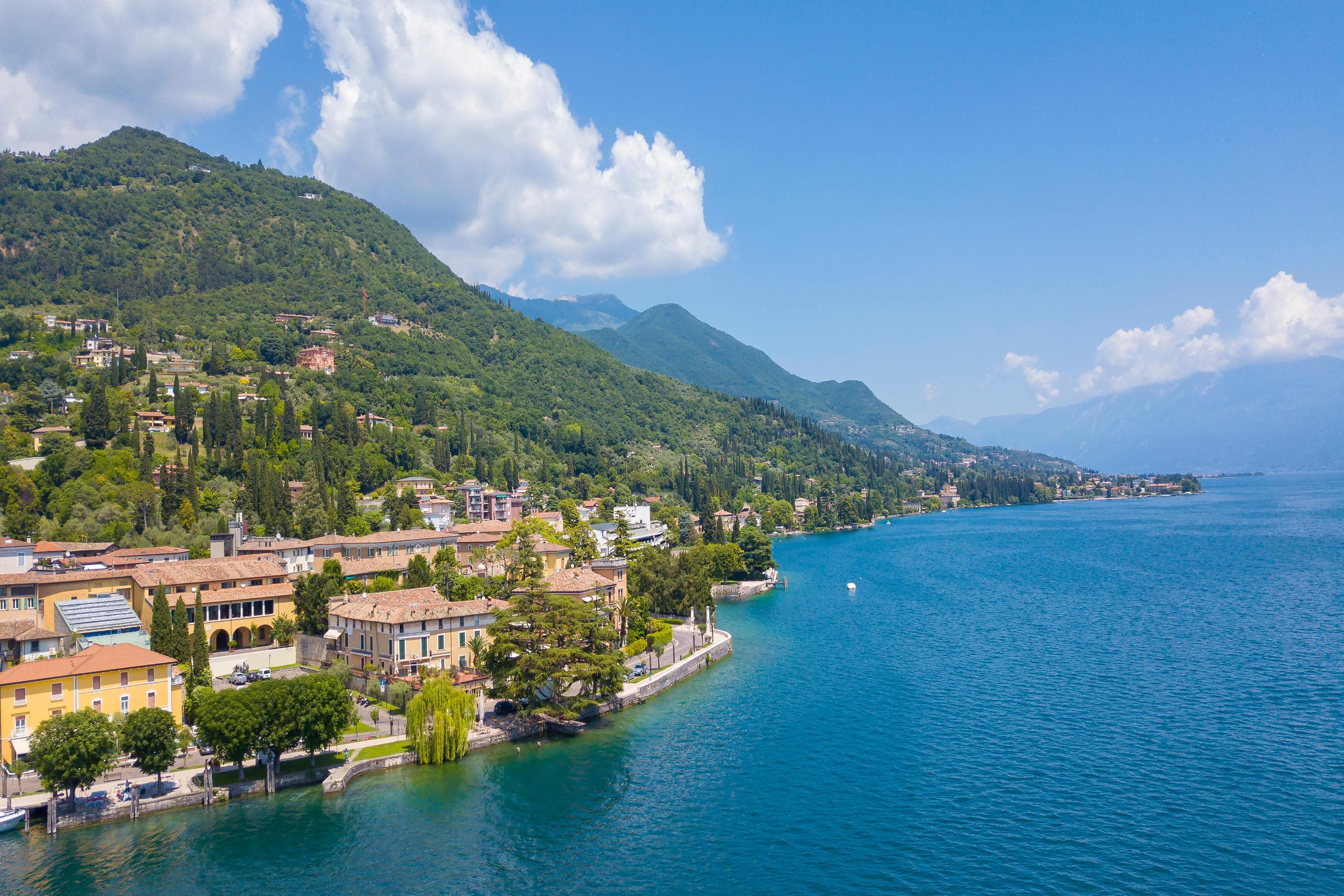Gallery Image 15