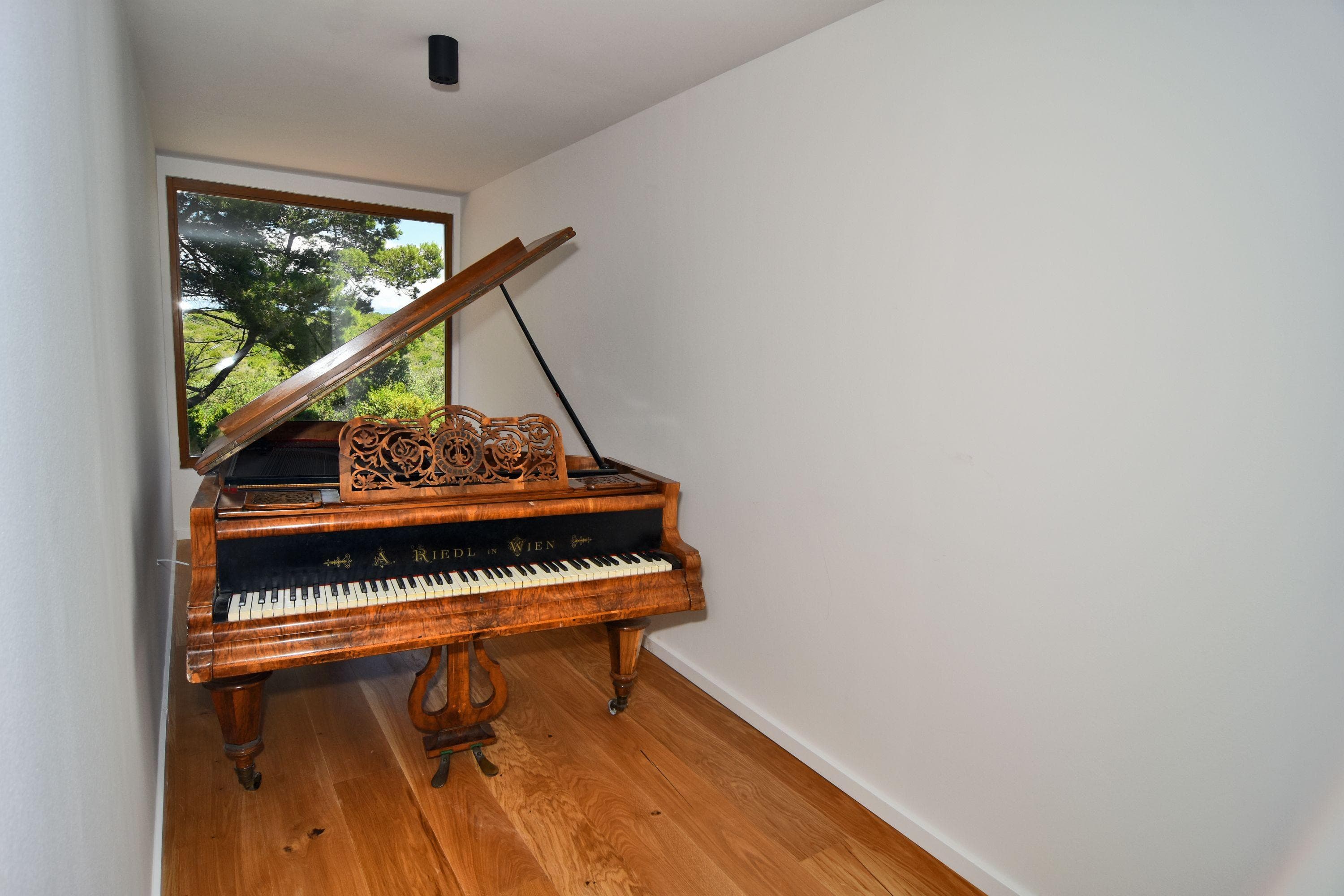 Gallery Image 10